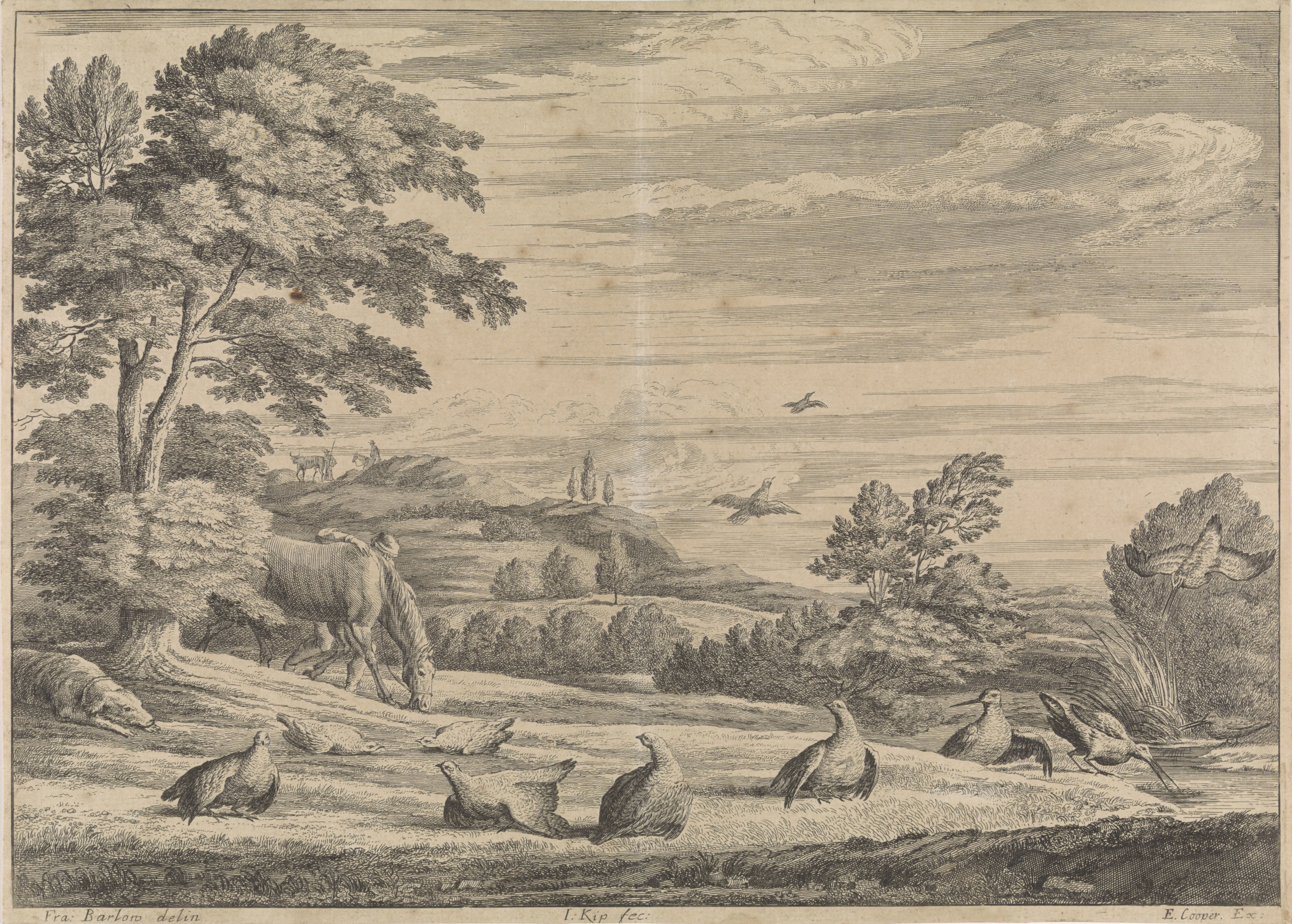 Landschap met fazanten en snippen