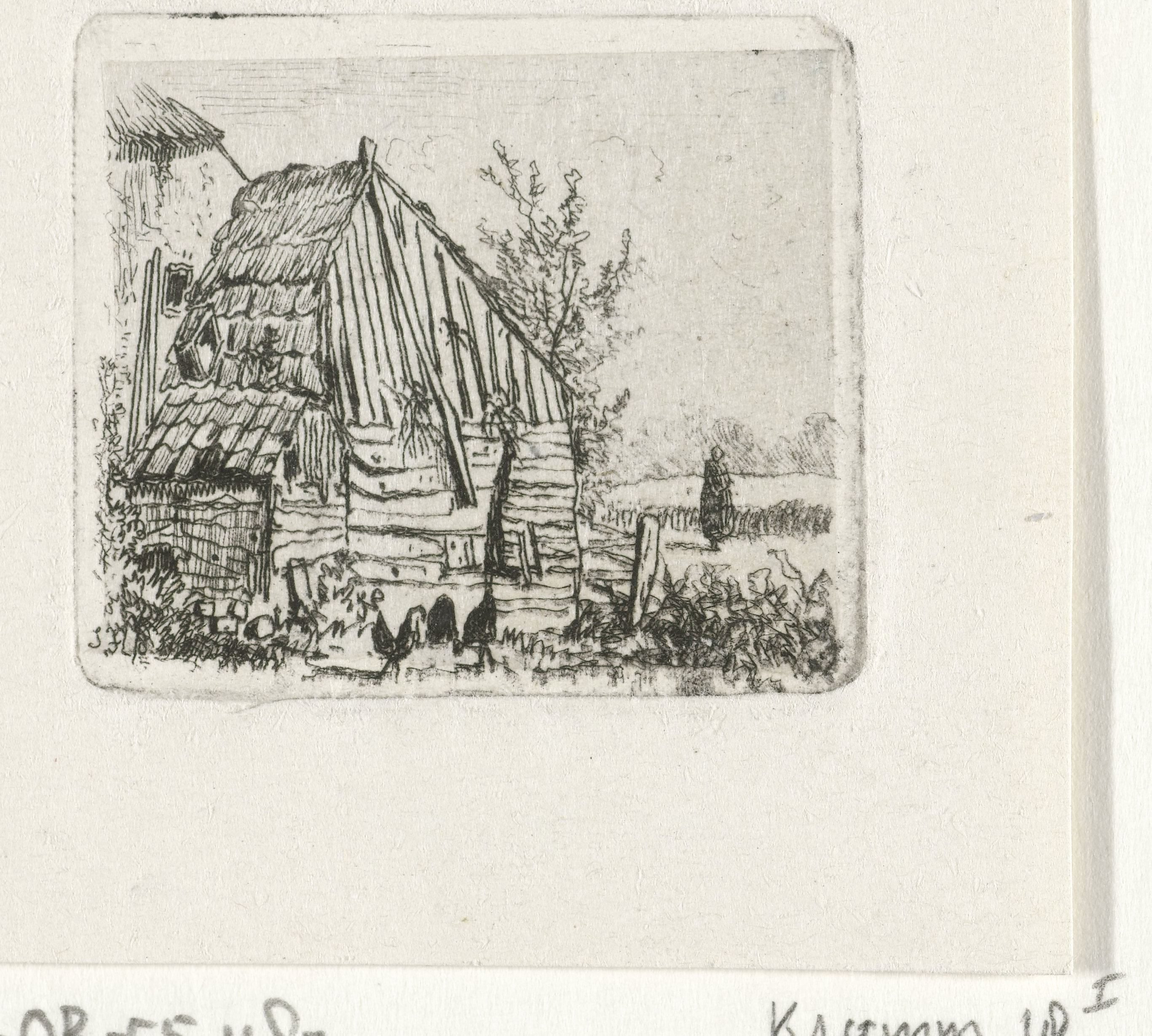 Kippen bij een boerenschuur