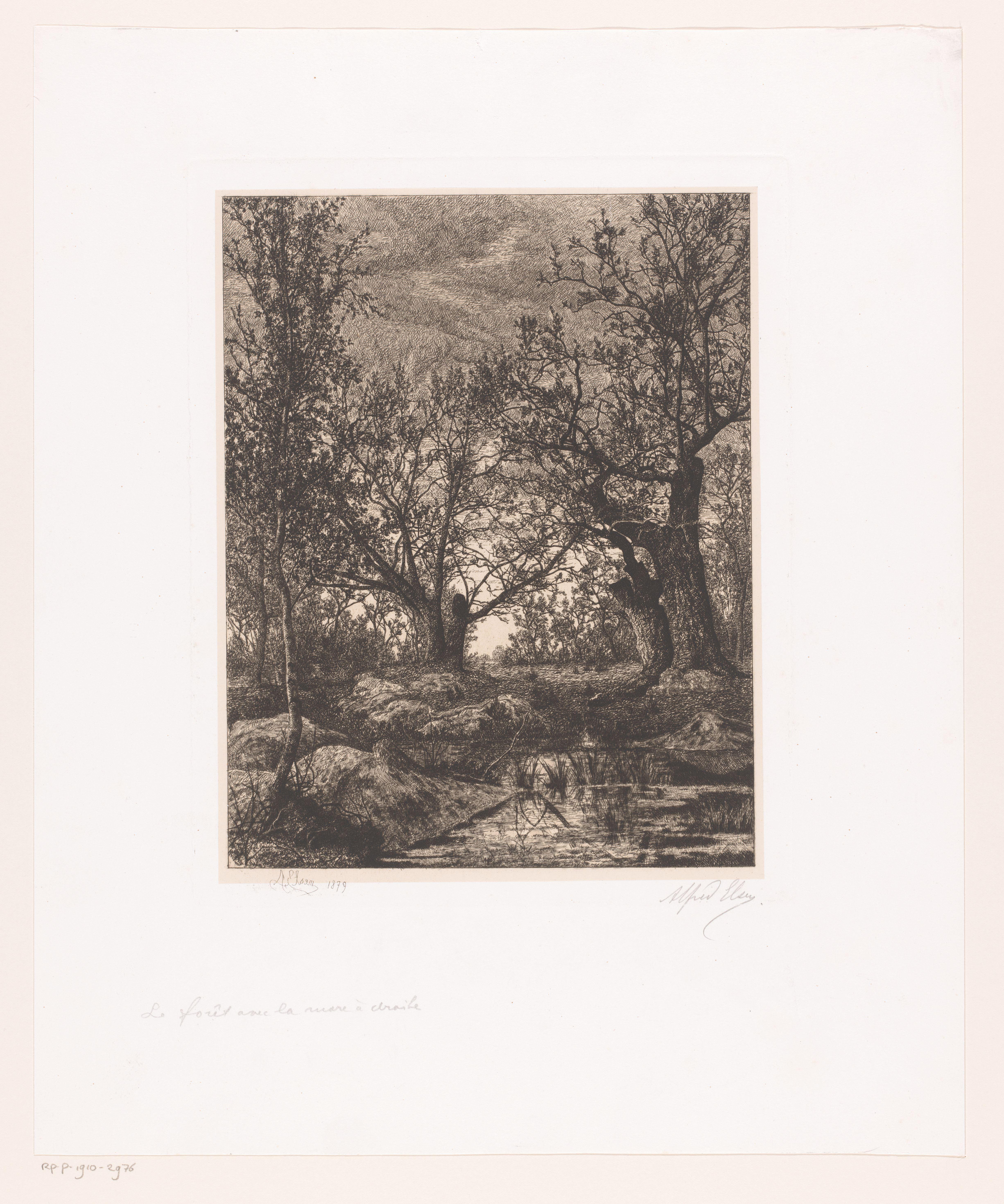 Landschap met bomen en moeras