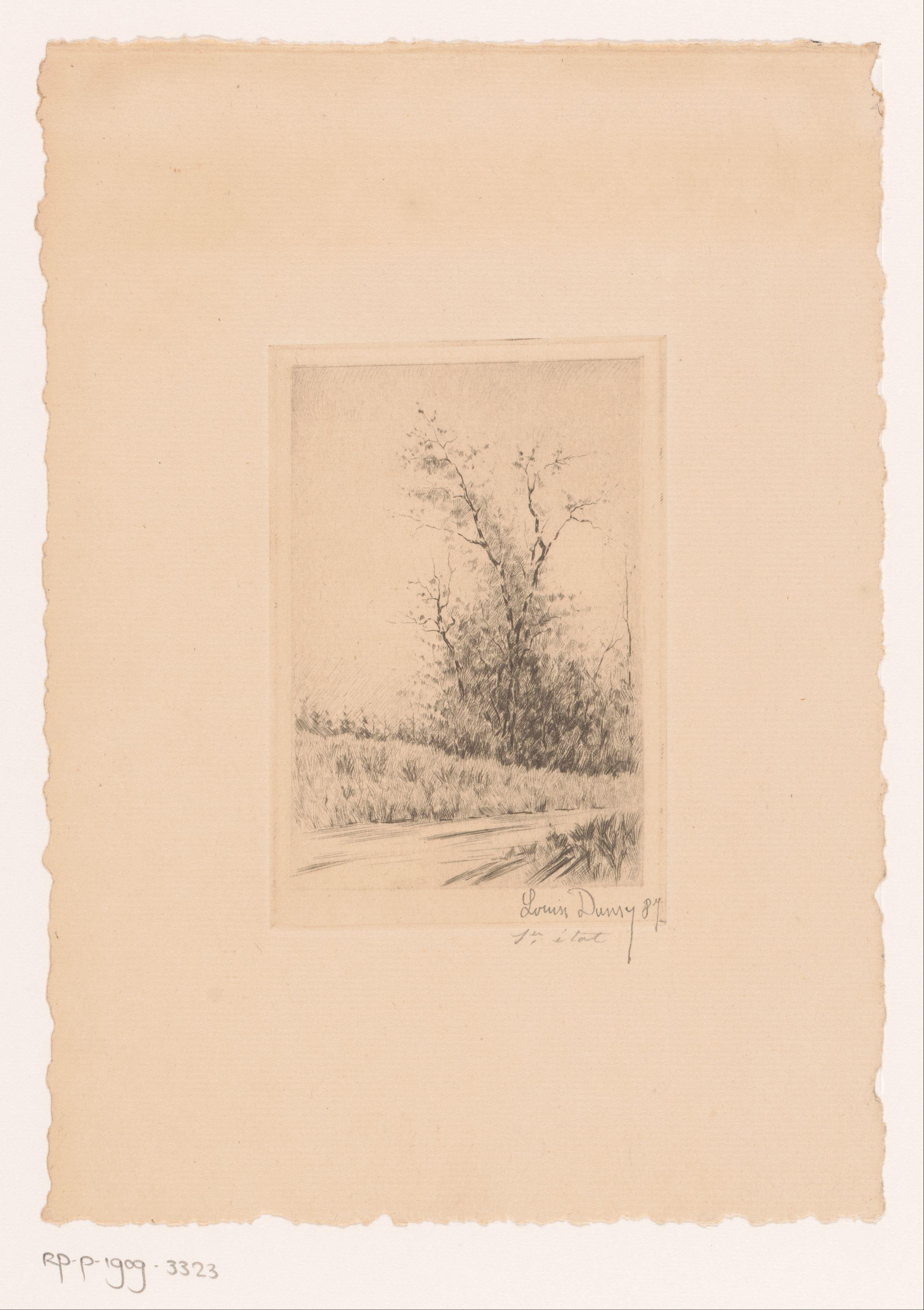 Landschap met een bos aan de waterkant