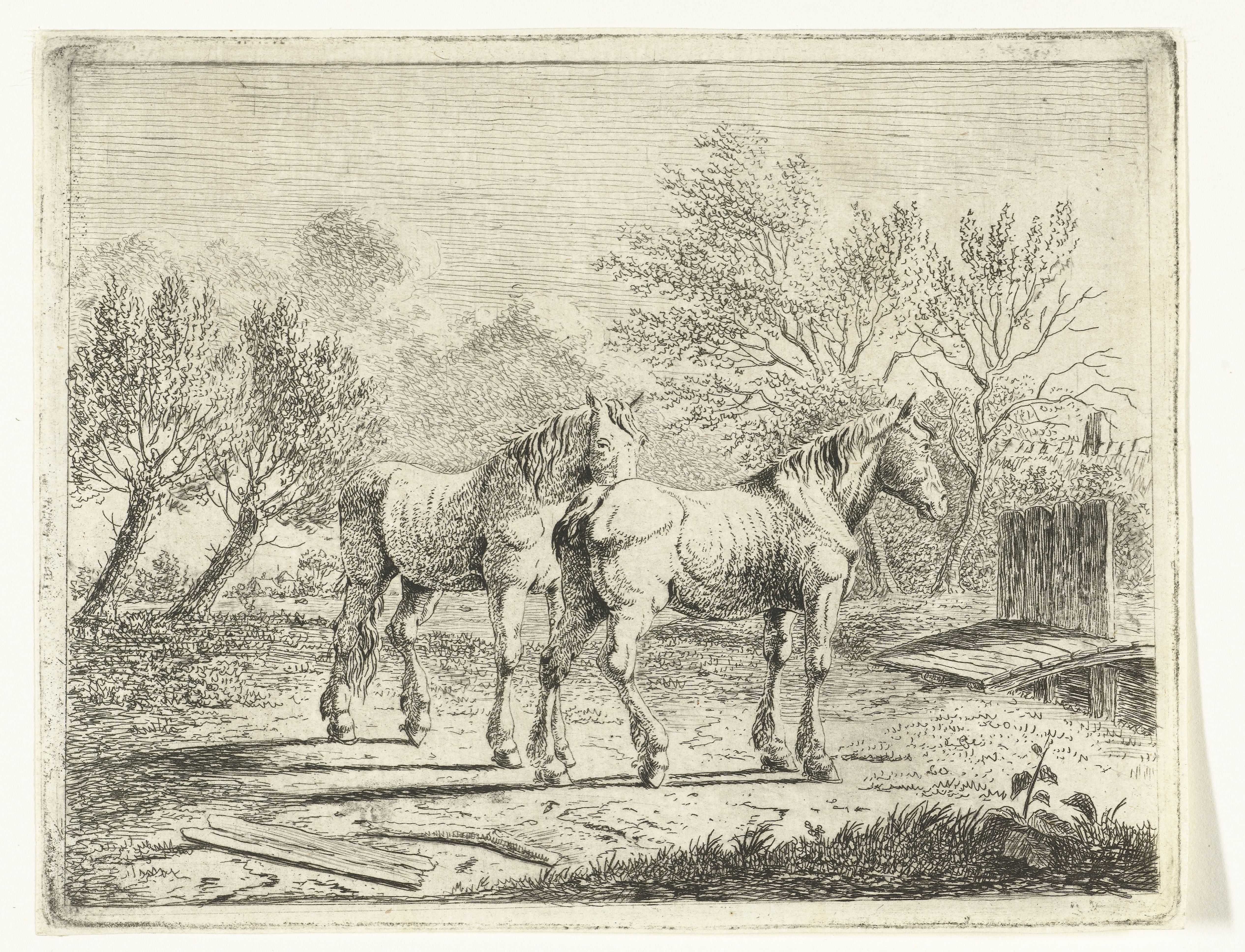 Weidelandschap met twee paarden bij bruggetje en boerderij