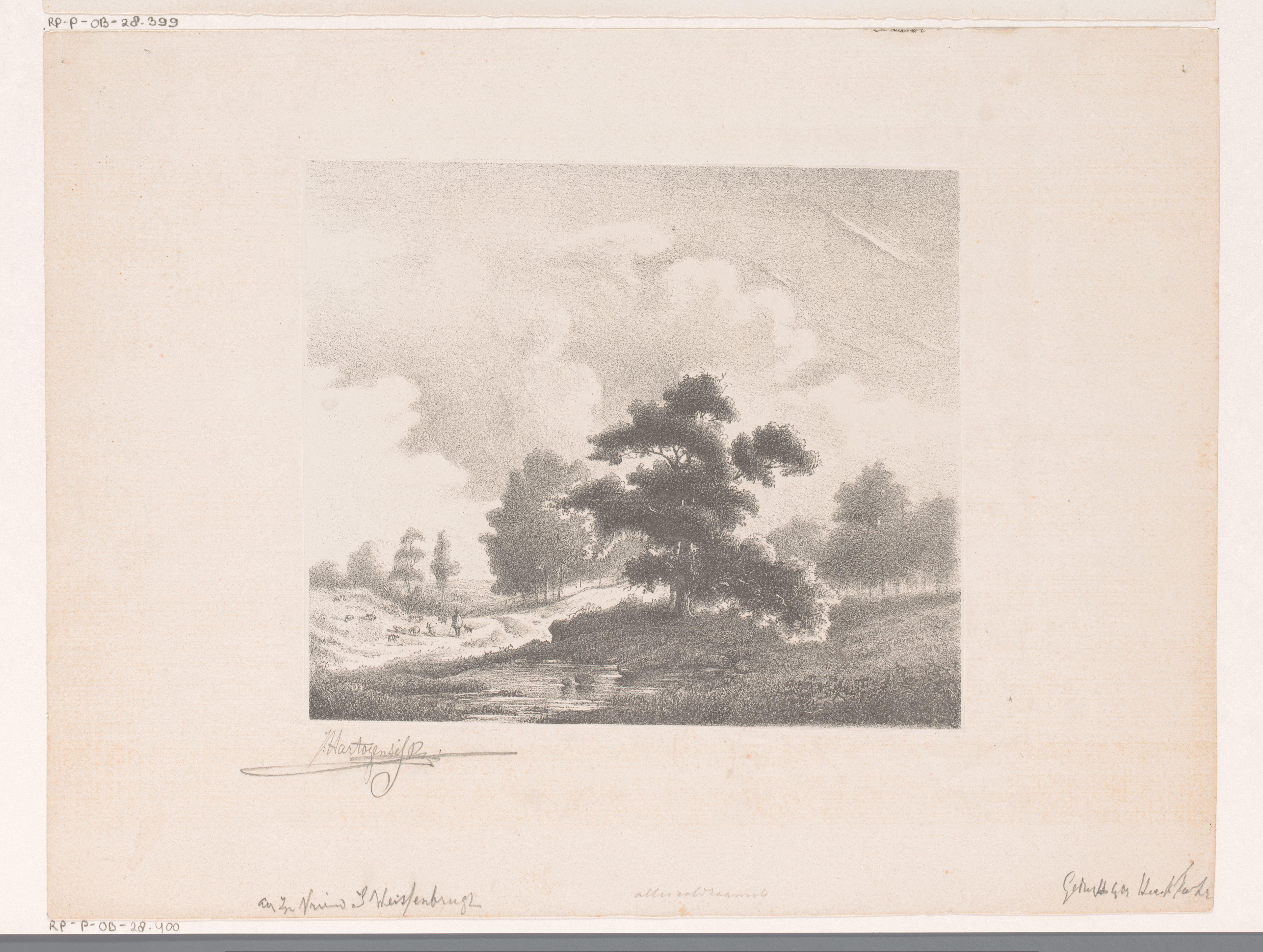 Landschap met grote boom en herder