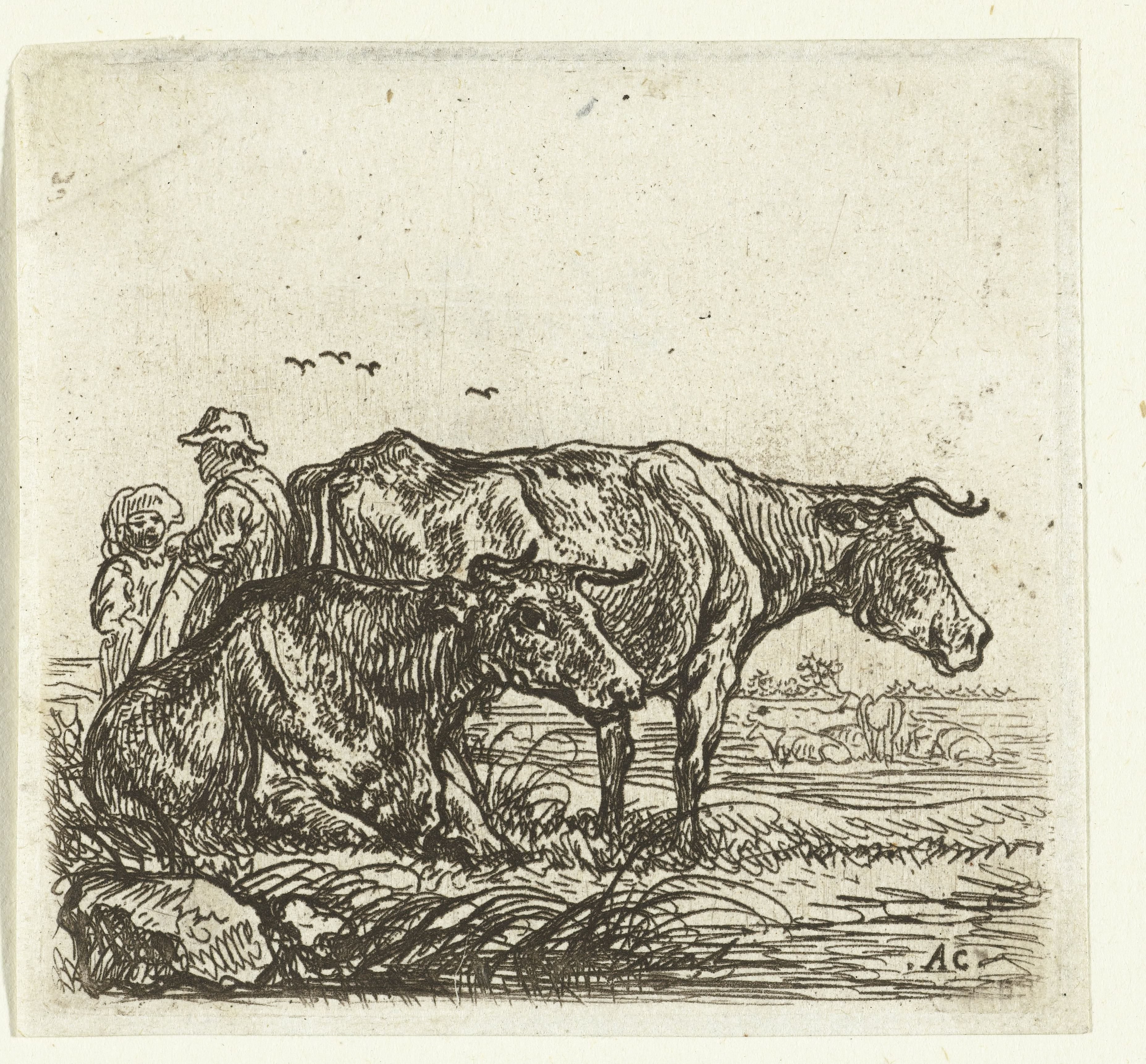Twee koeien en herders