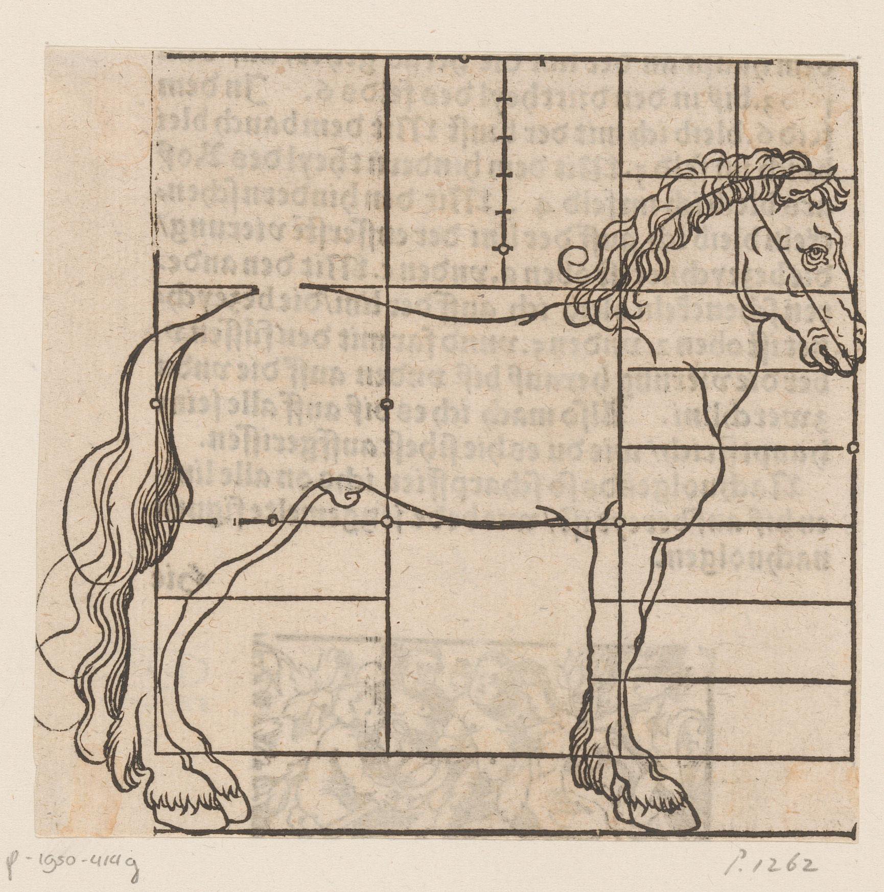 Model voor een paard met raster