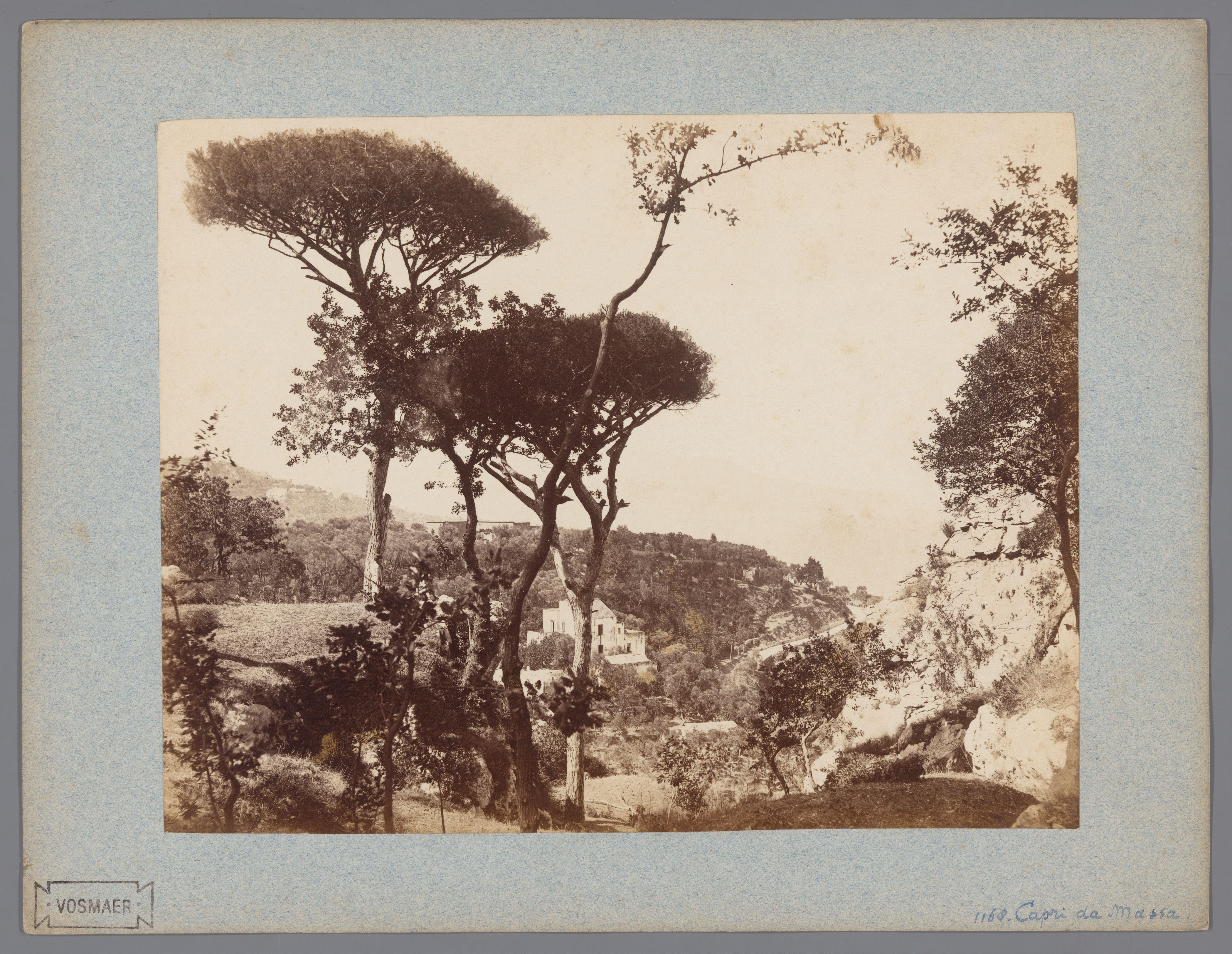 Gezicht op Capri da Massa met pijnbomen