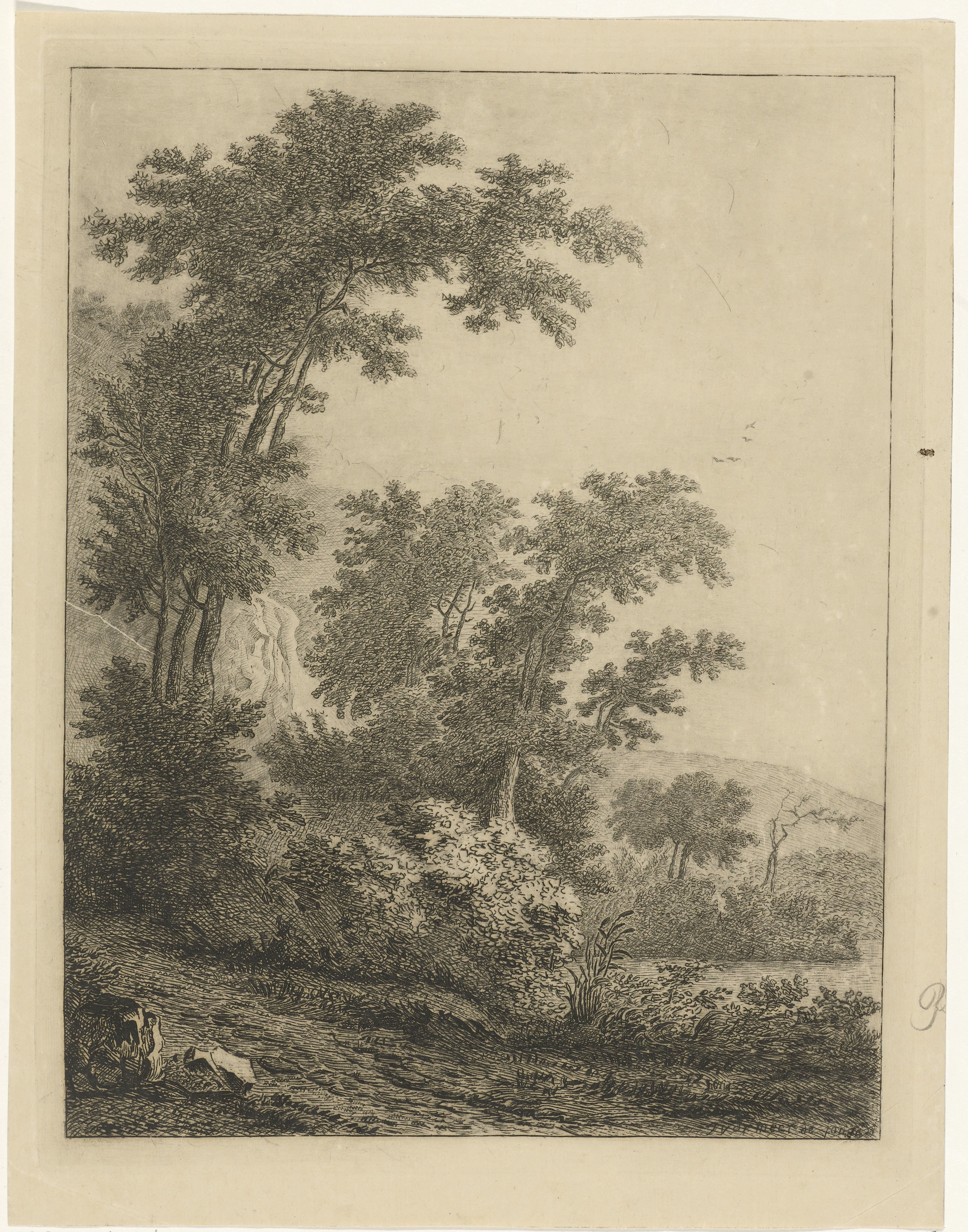 Landschap met hoge bomen