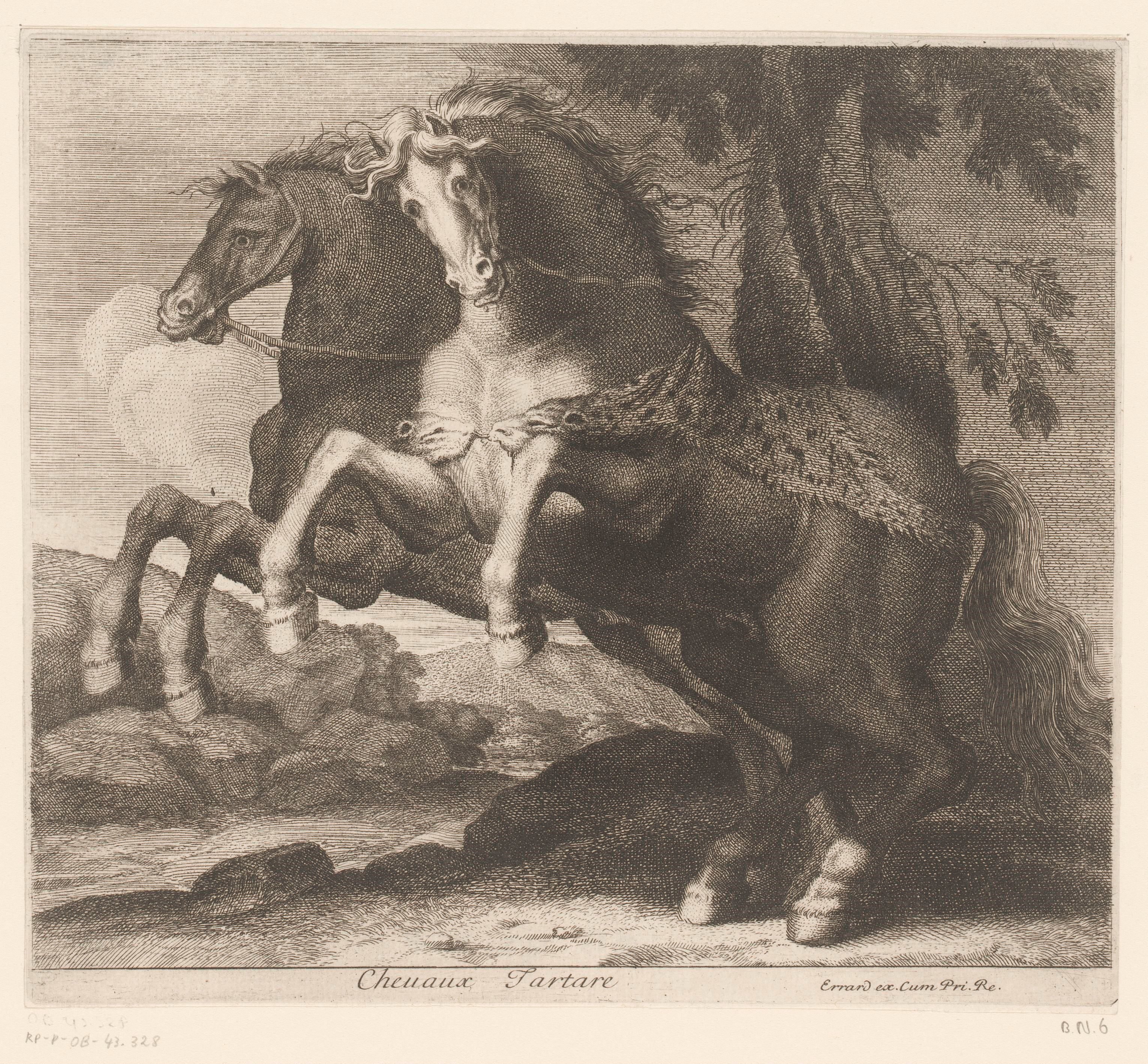 Steigerende paarden
