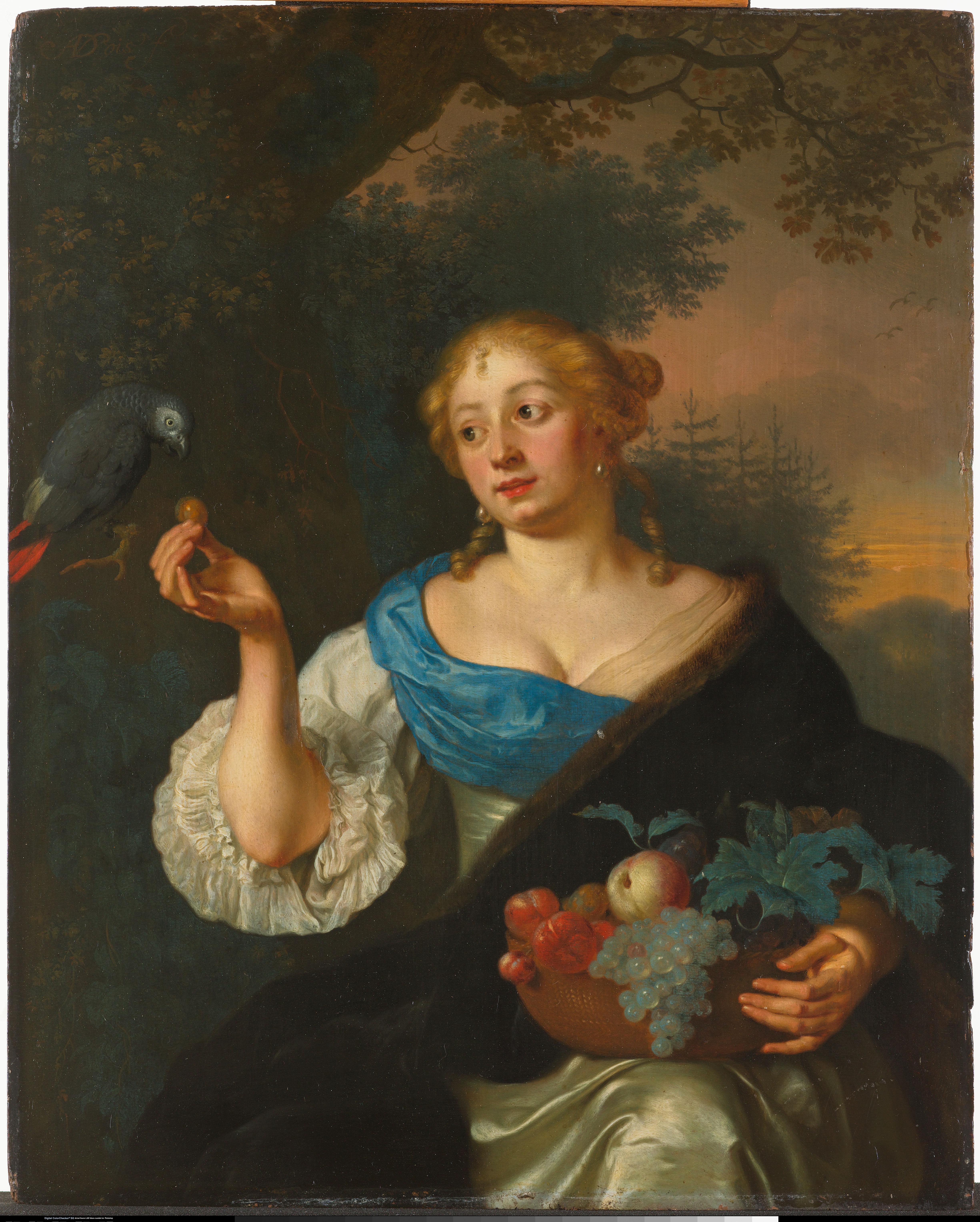 Ary de Vois
