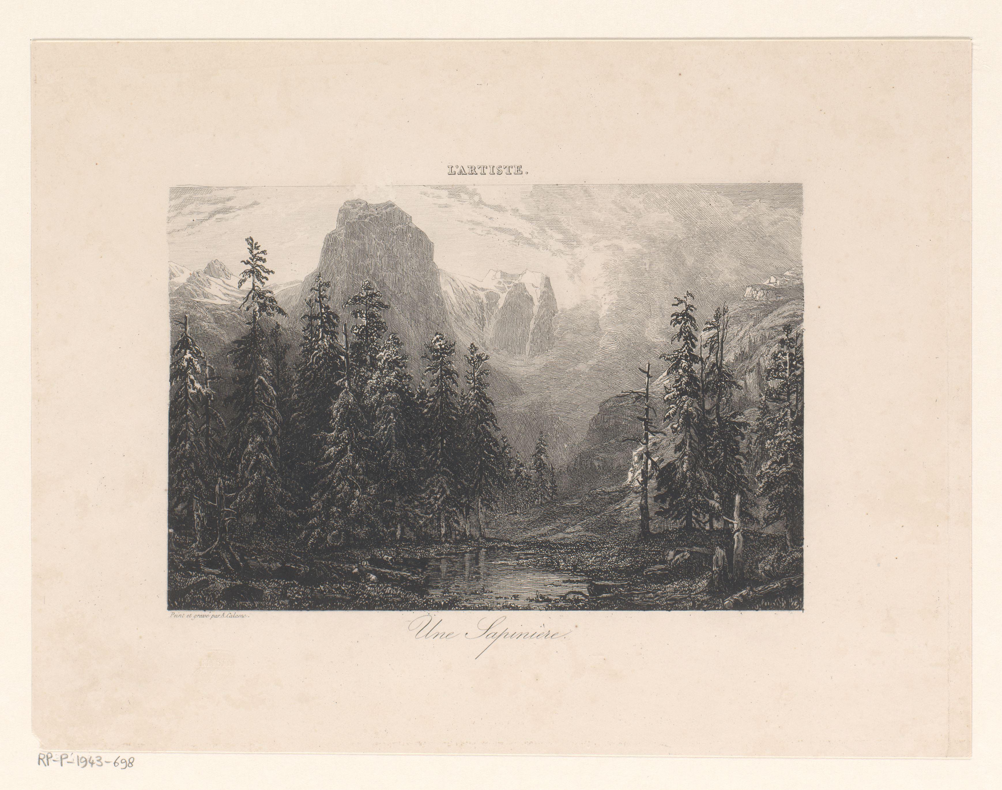 Berglandschap met dennenbomen aan het water