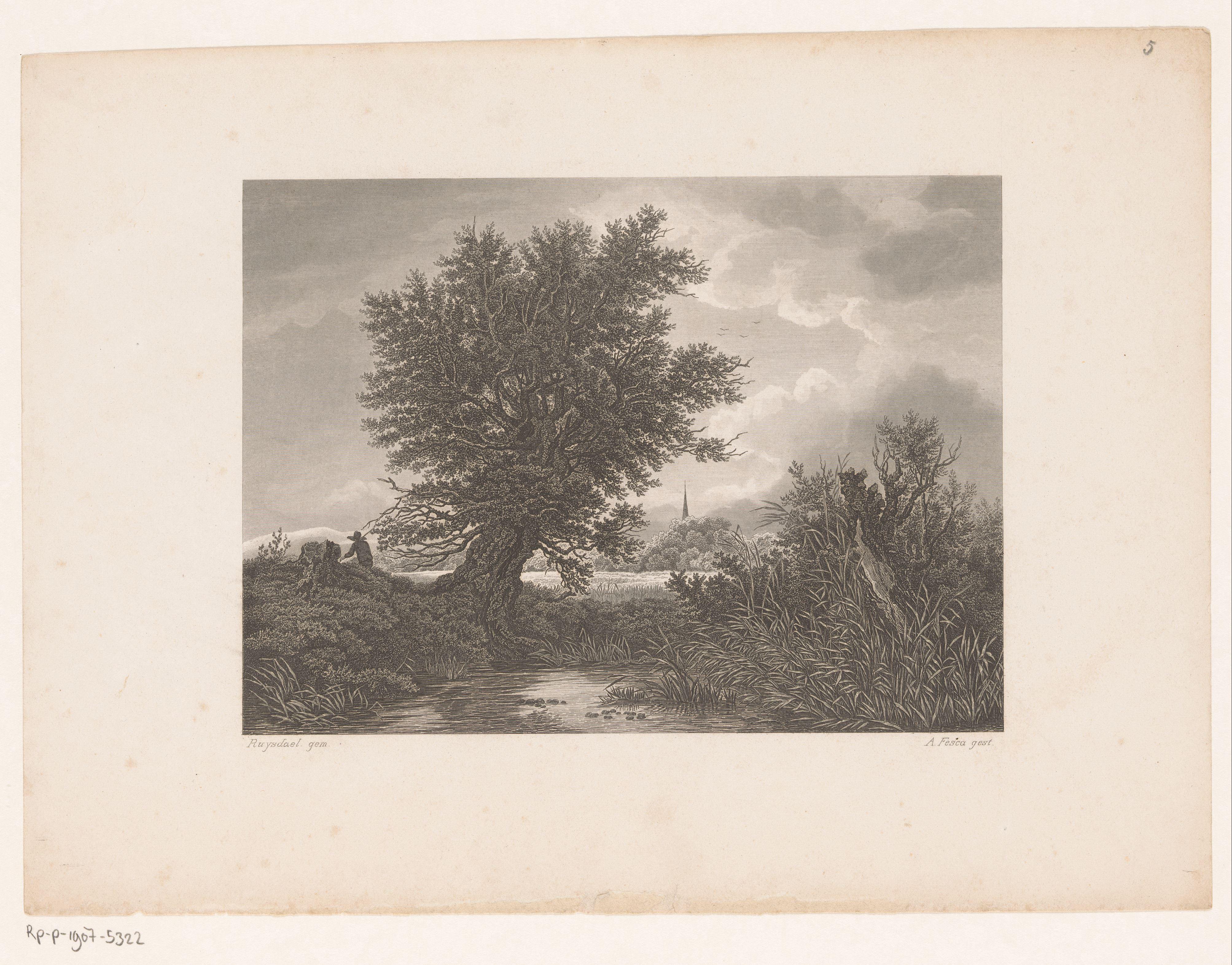 Landschap met boom aan de waterkant
