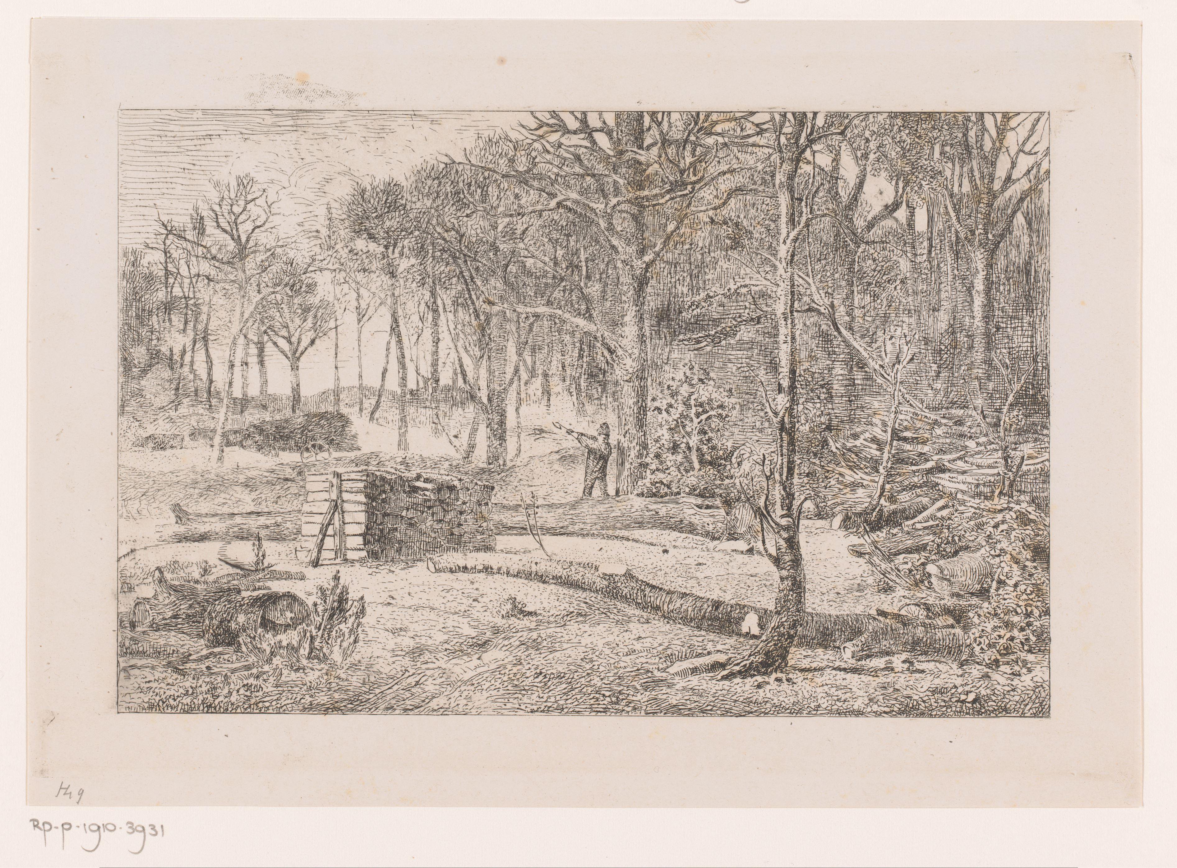 Houthakker in het bos