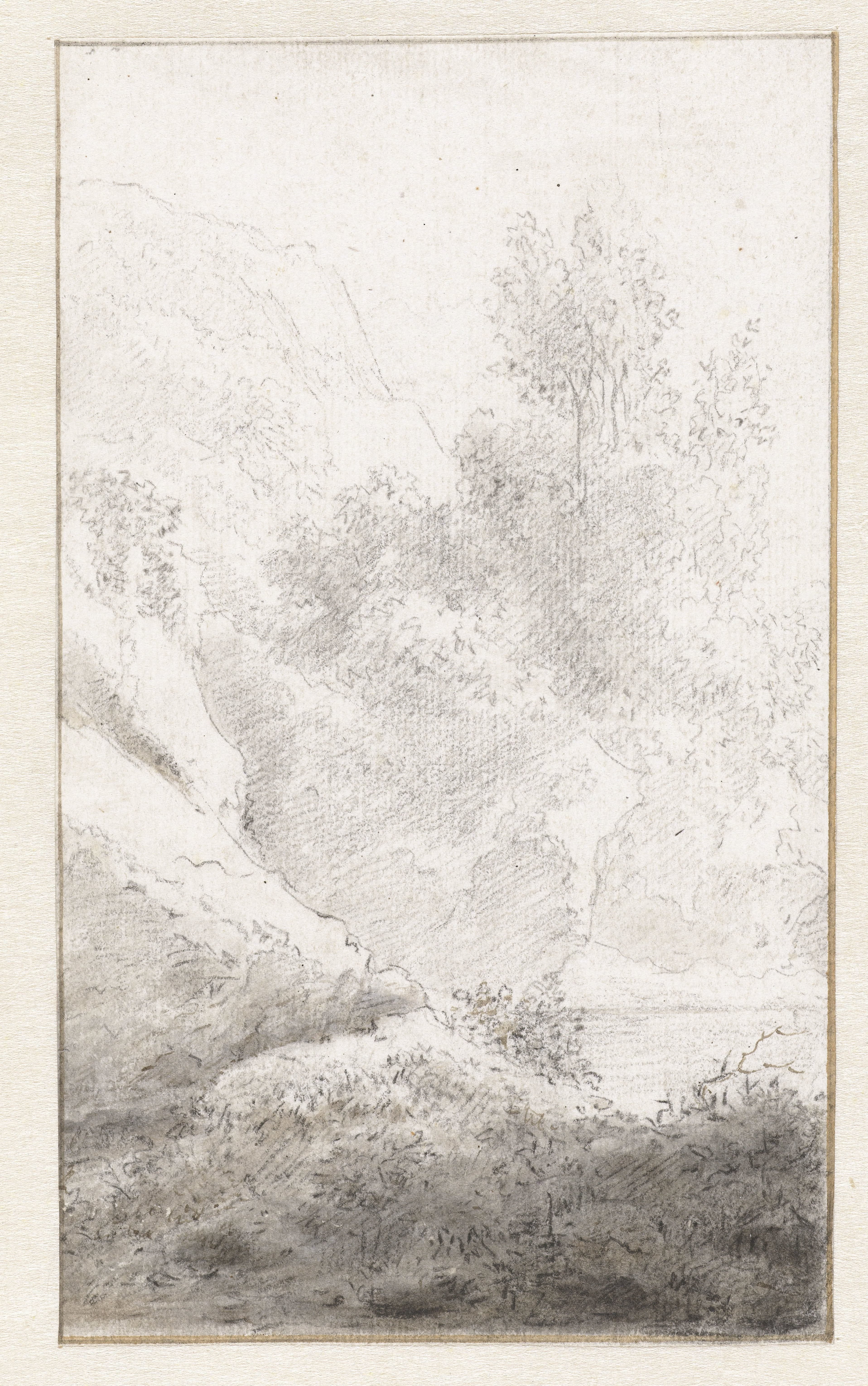 Bergachtig landschap met bomen