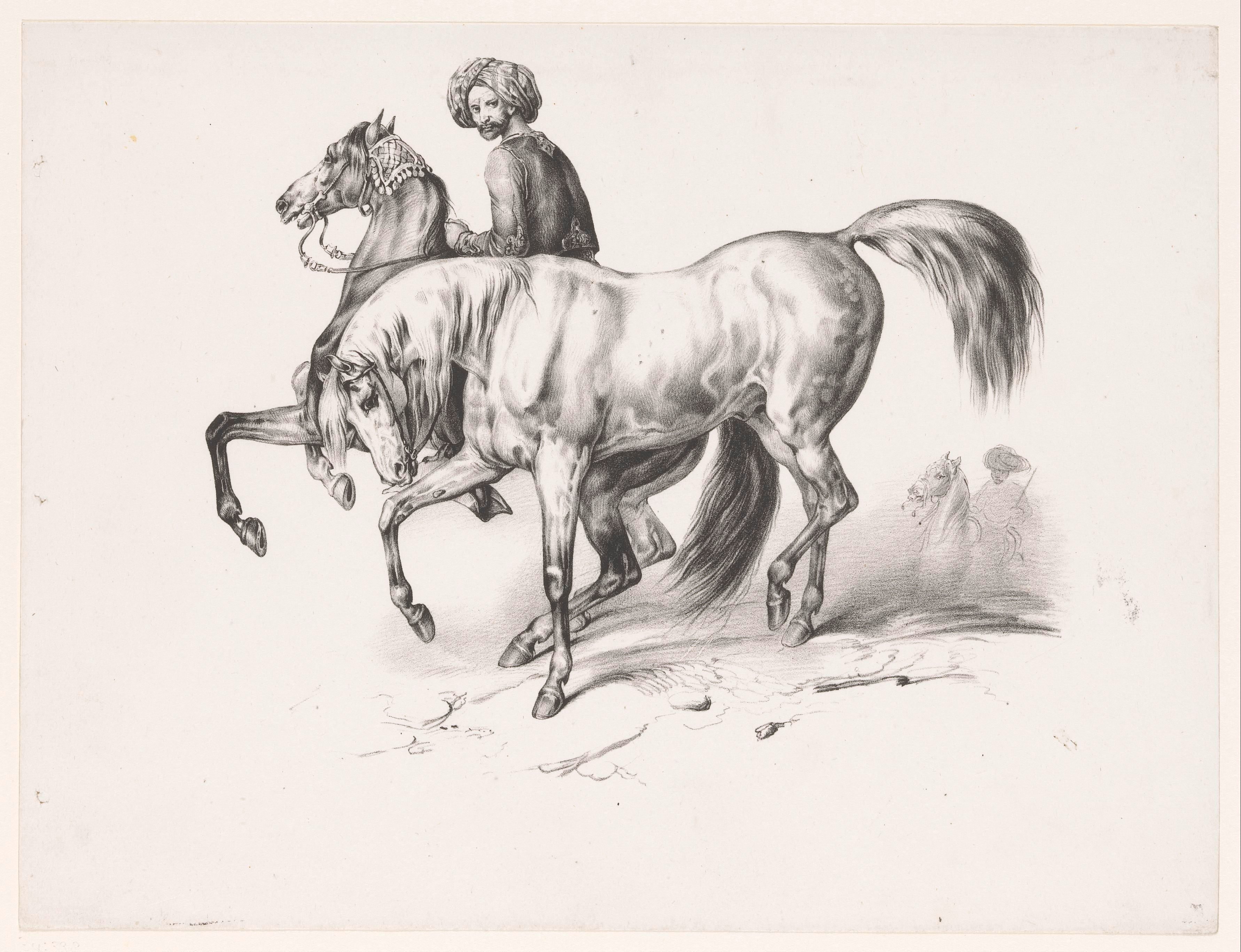 Turkse paarden