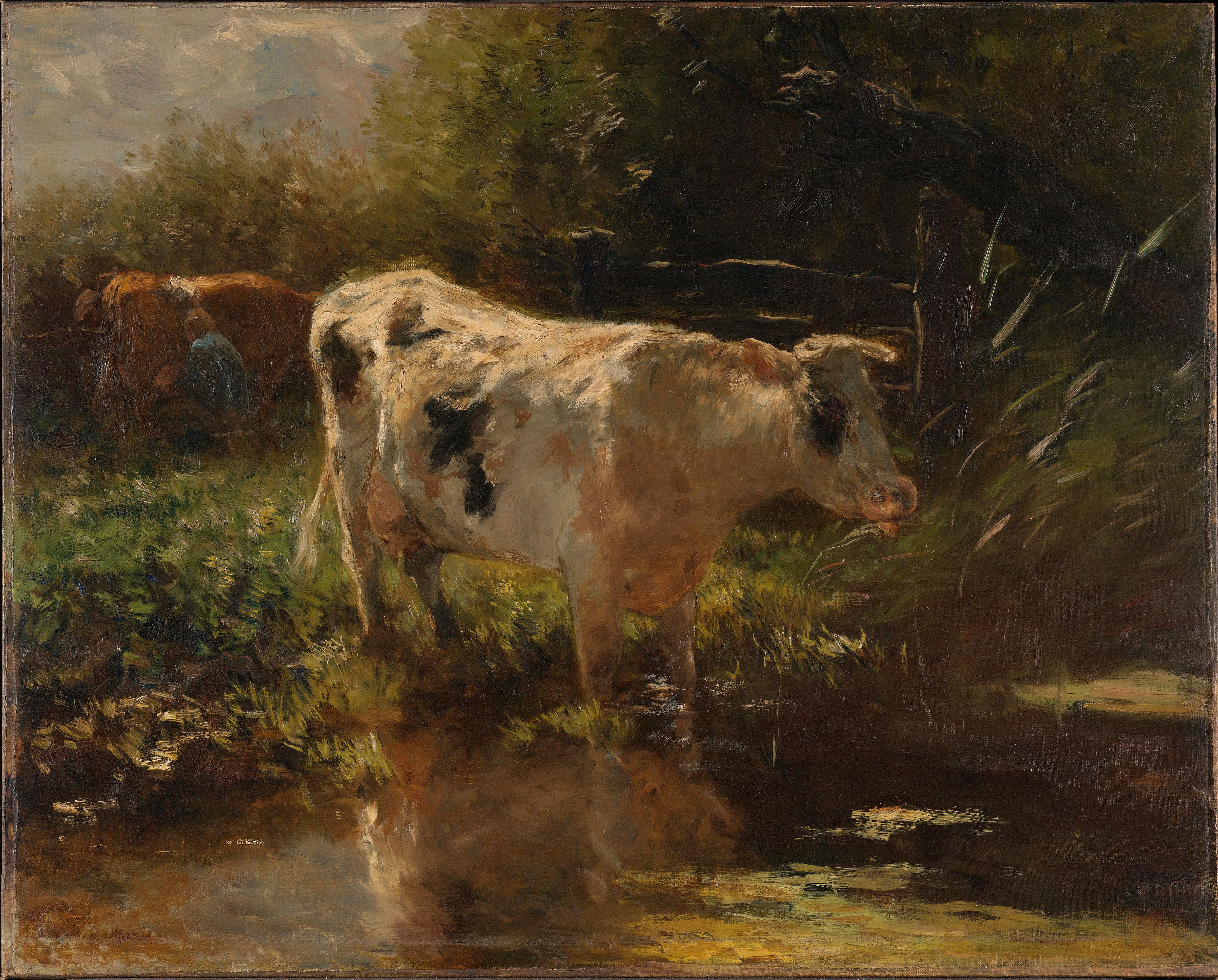 Cow beside a Ditch