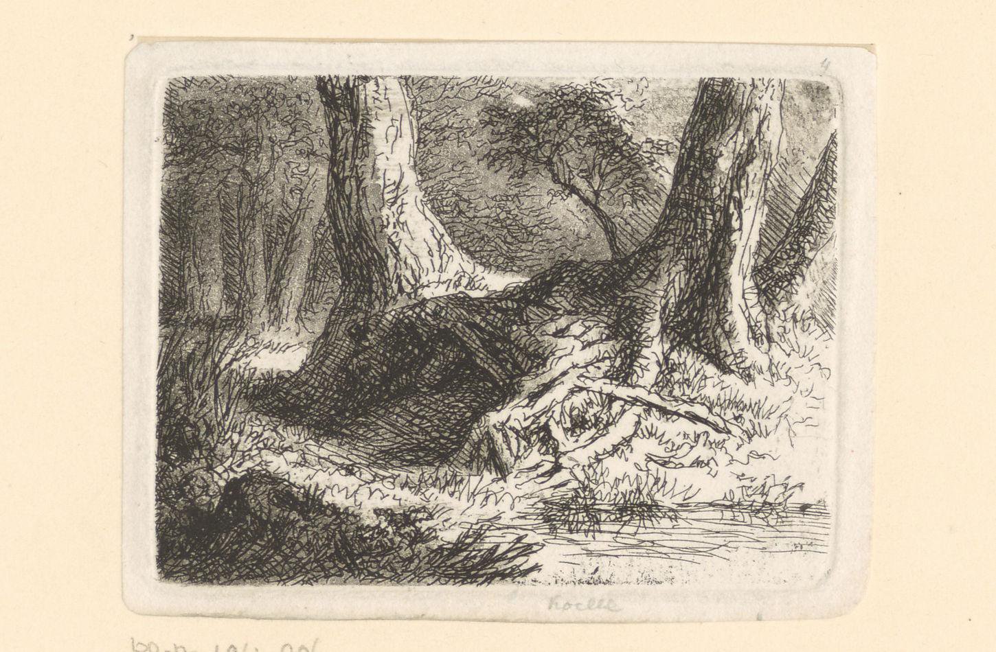 Landschap met boomwortels bij een beek
