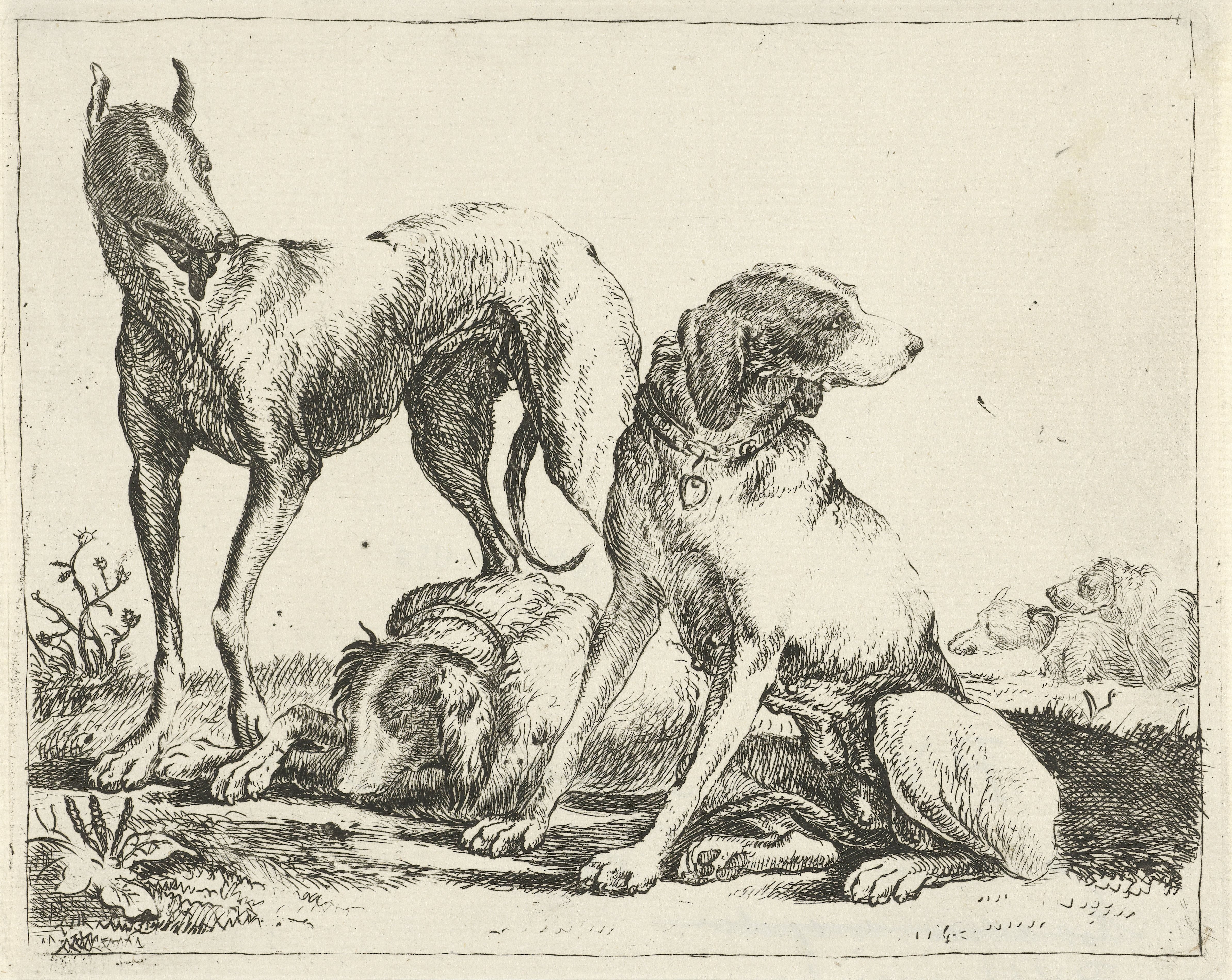 Drie honden