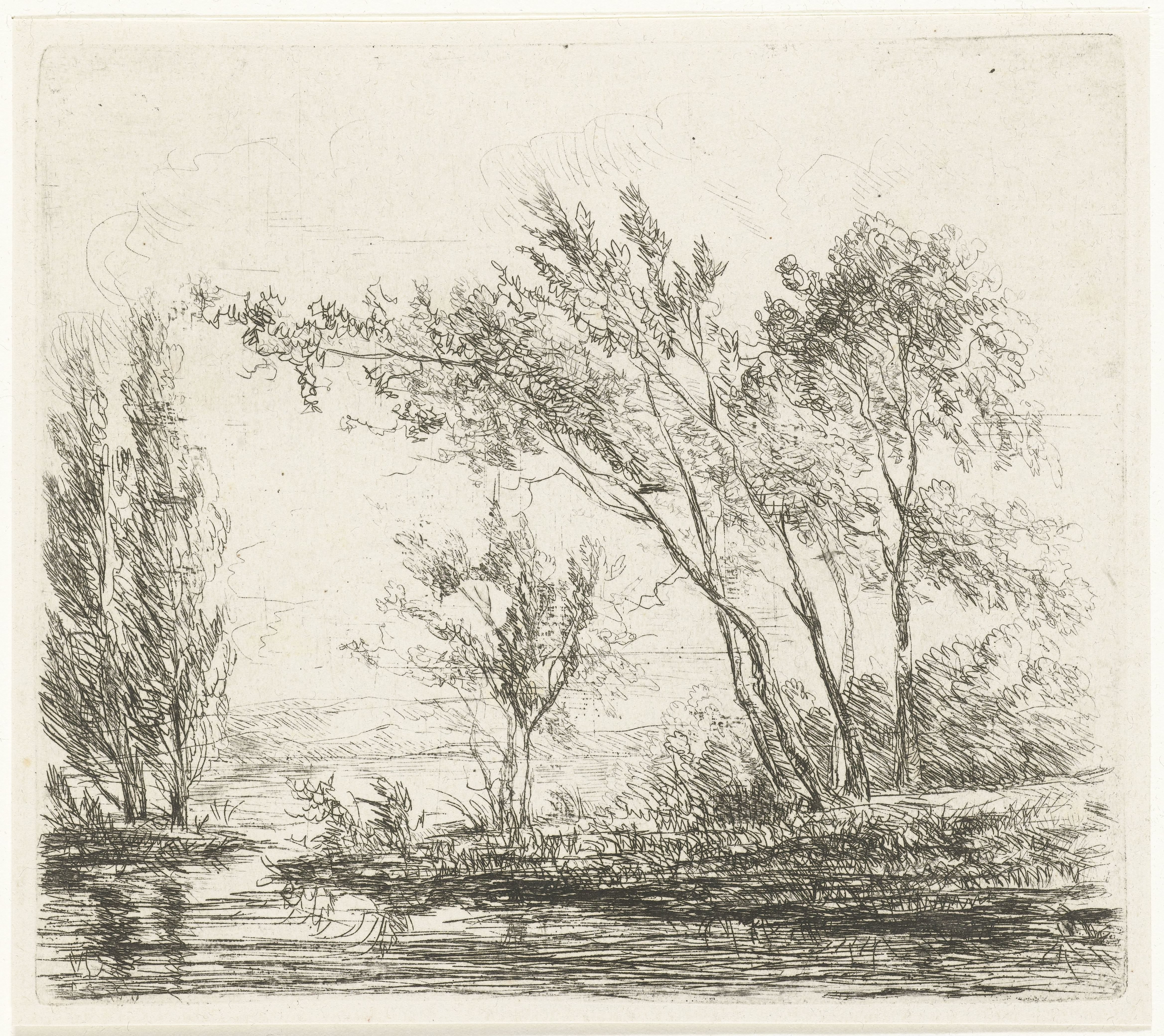 Landschap met bomen aan water