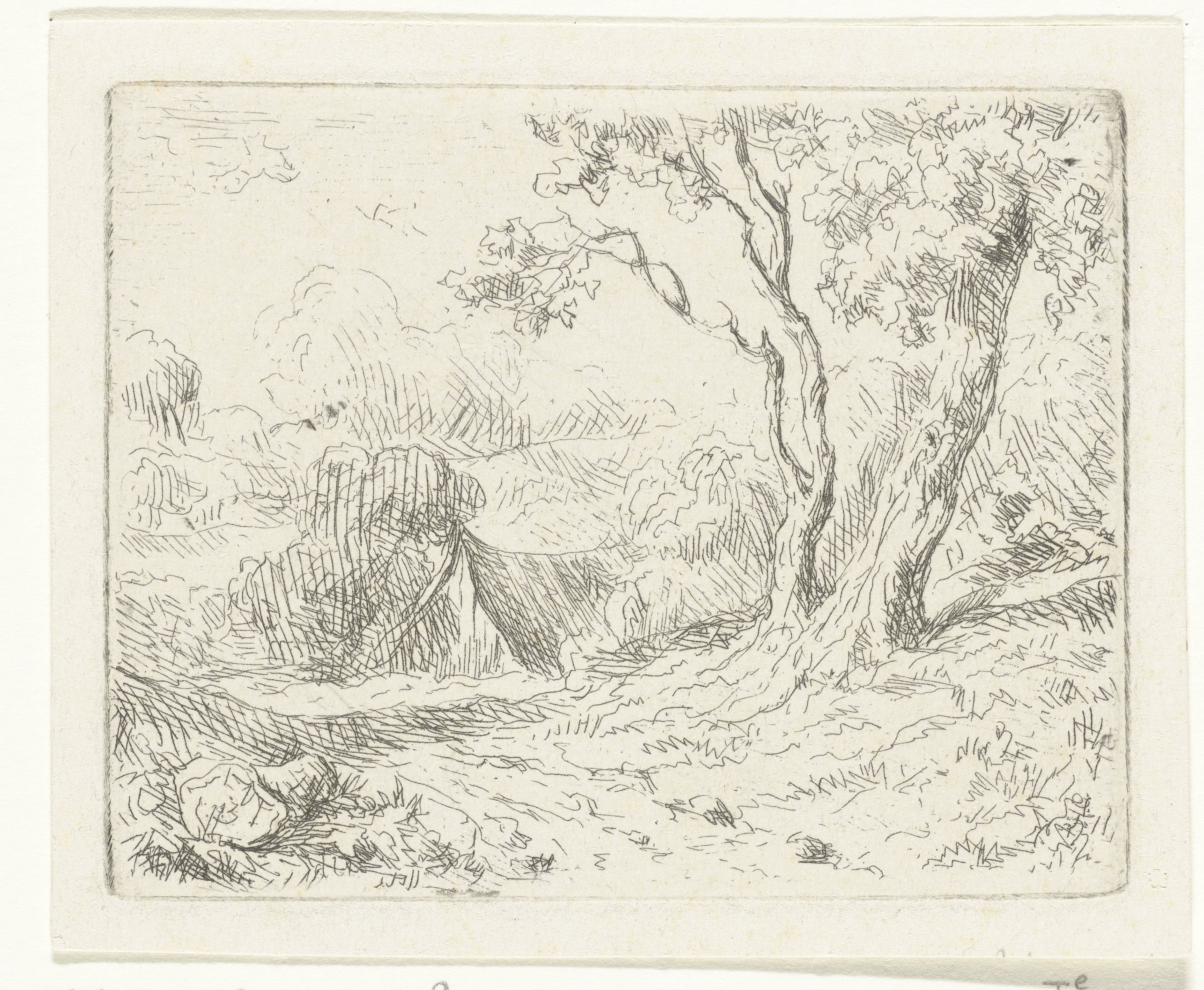 Landschap met twee bomen langs een pad