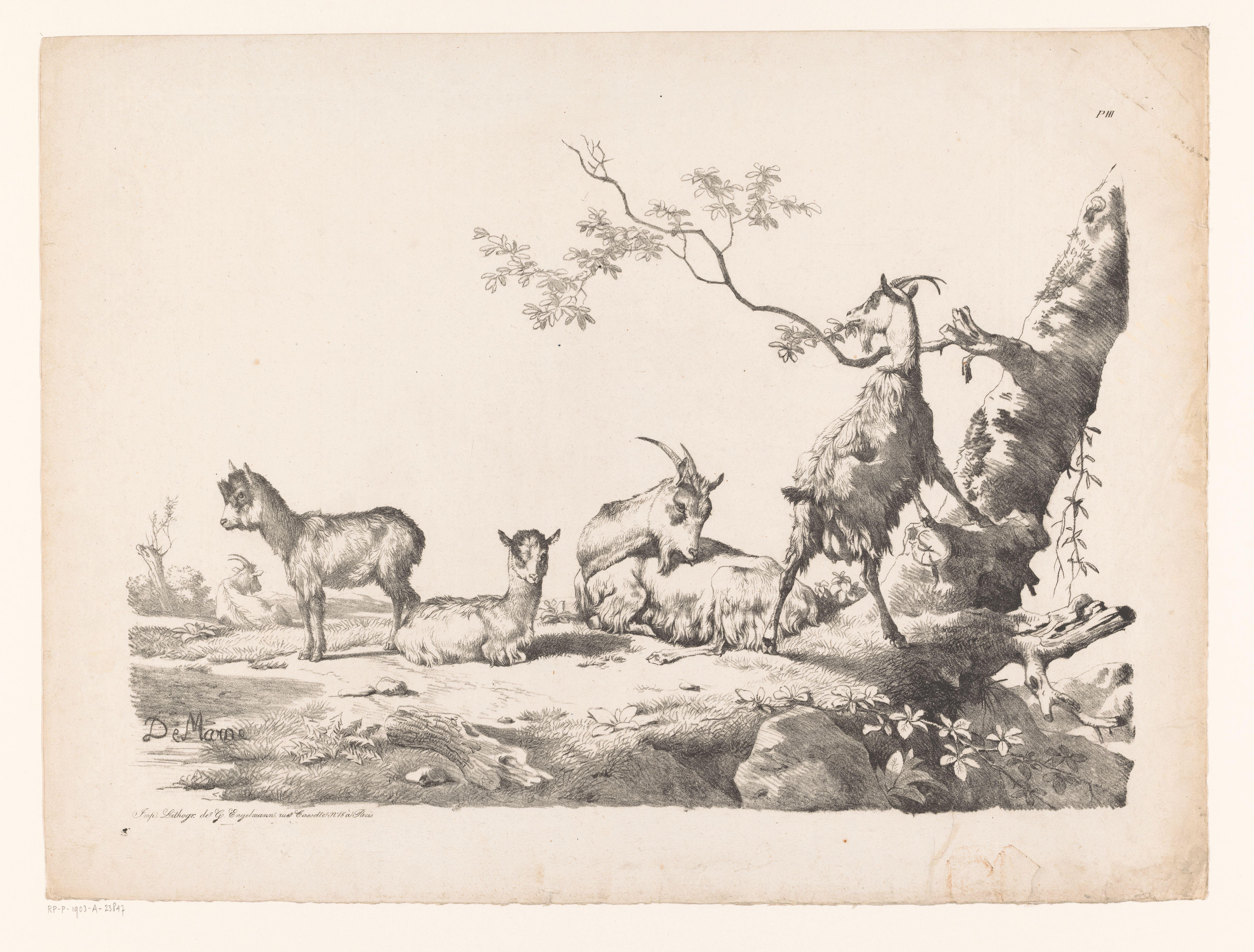 Geiten met jongen in een landschap bij een boom