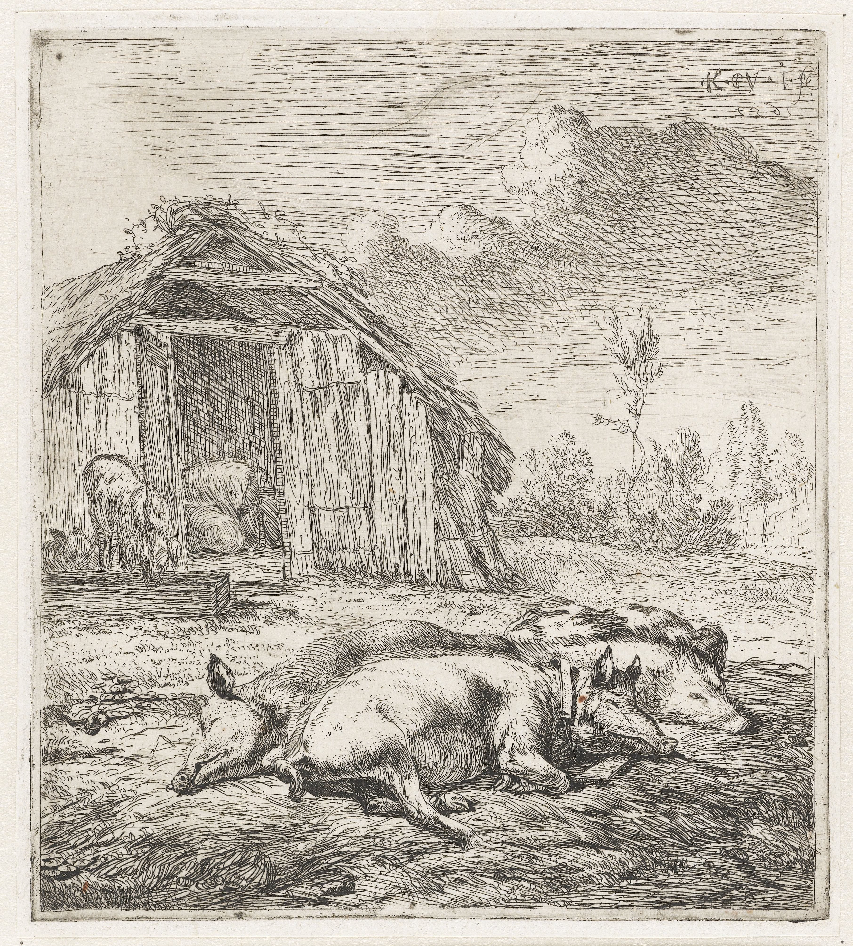 Drie varkens voor een hok