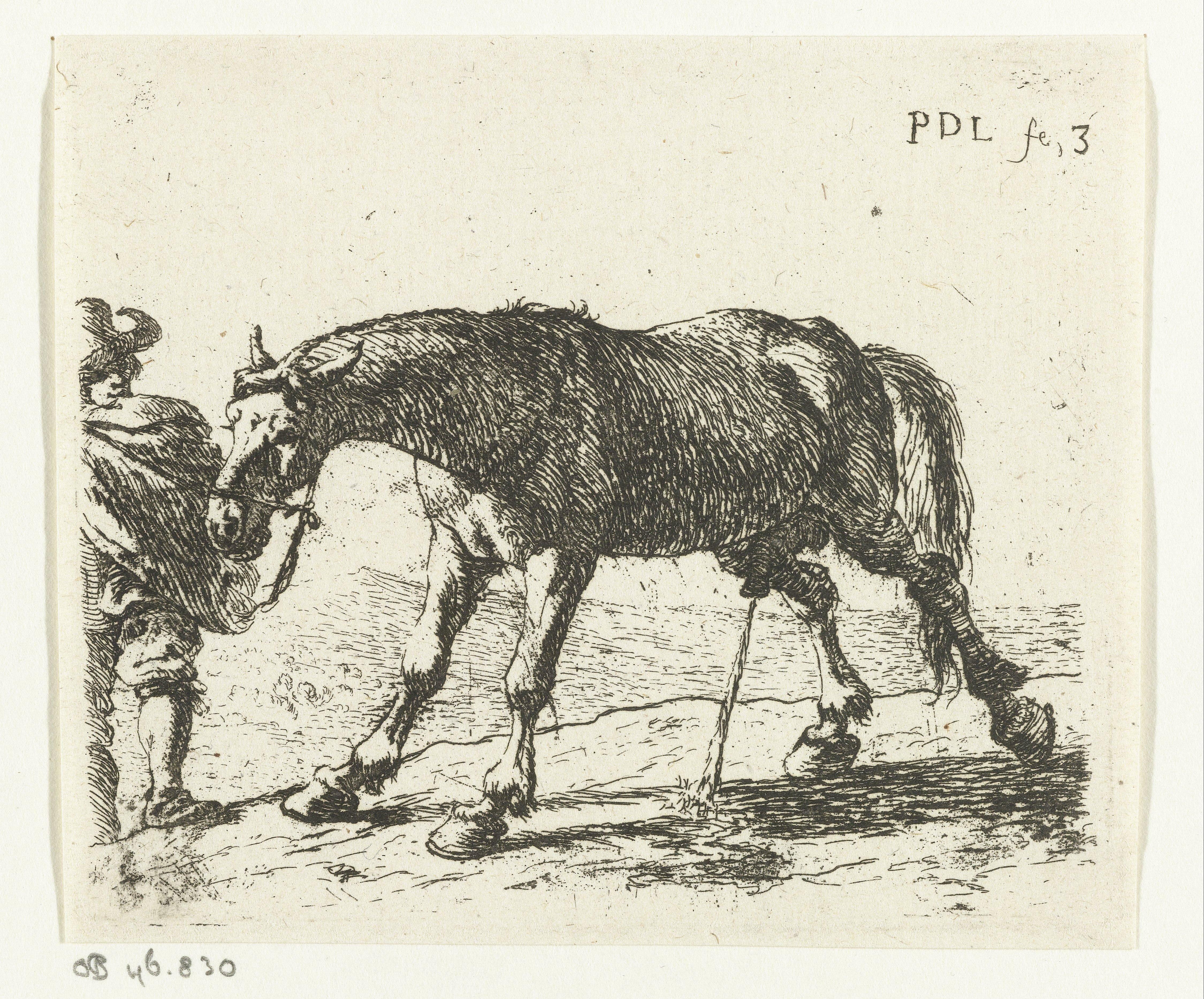 Pissend paard
