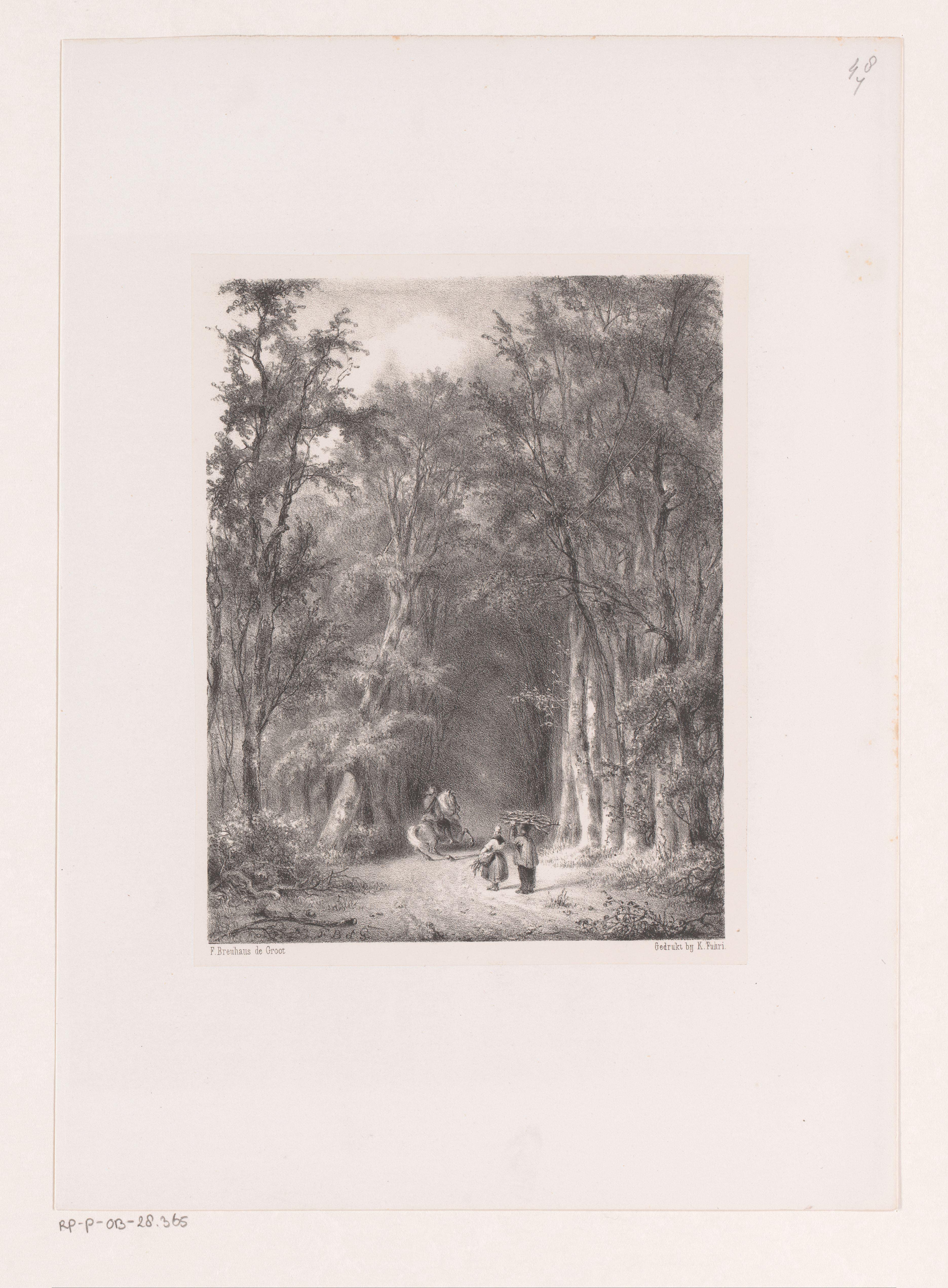 Houtsprokkelaars en ruiter in het bos