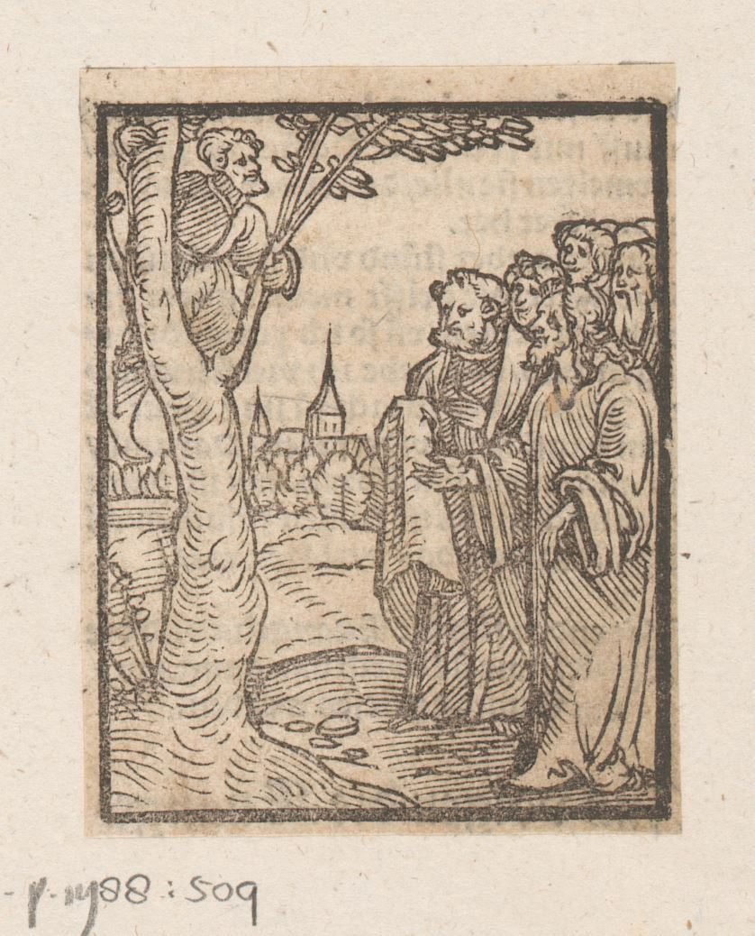 Zacheus in de vijgenboom