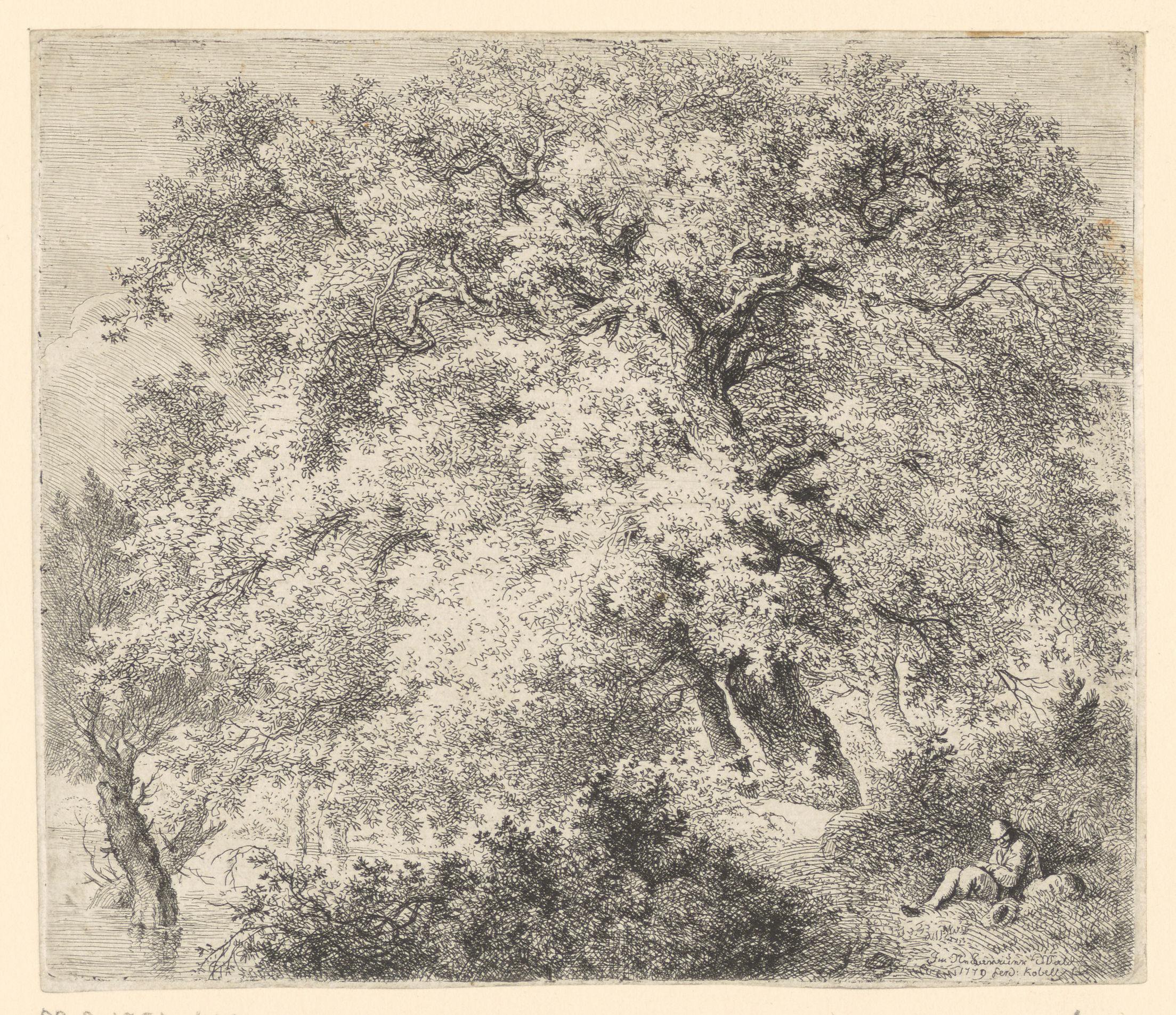 Landschap uit het Neckarauer Woud