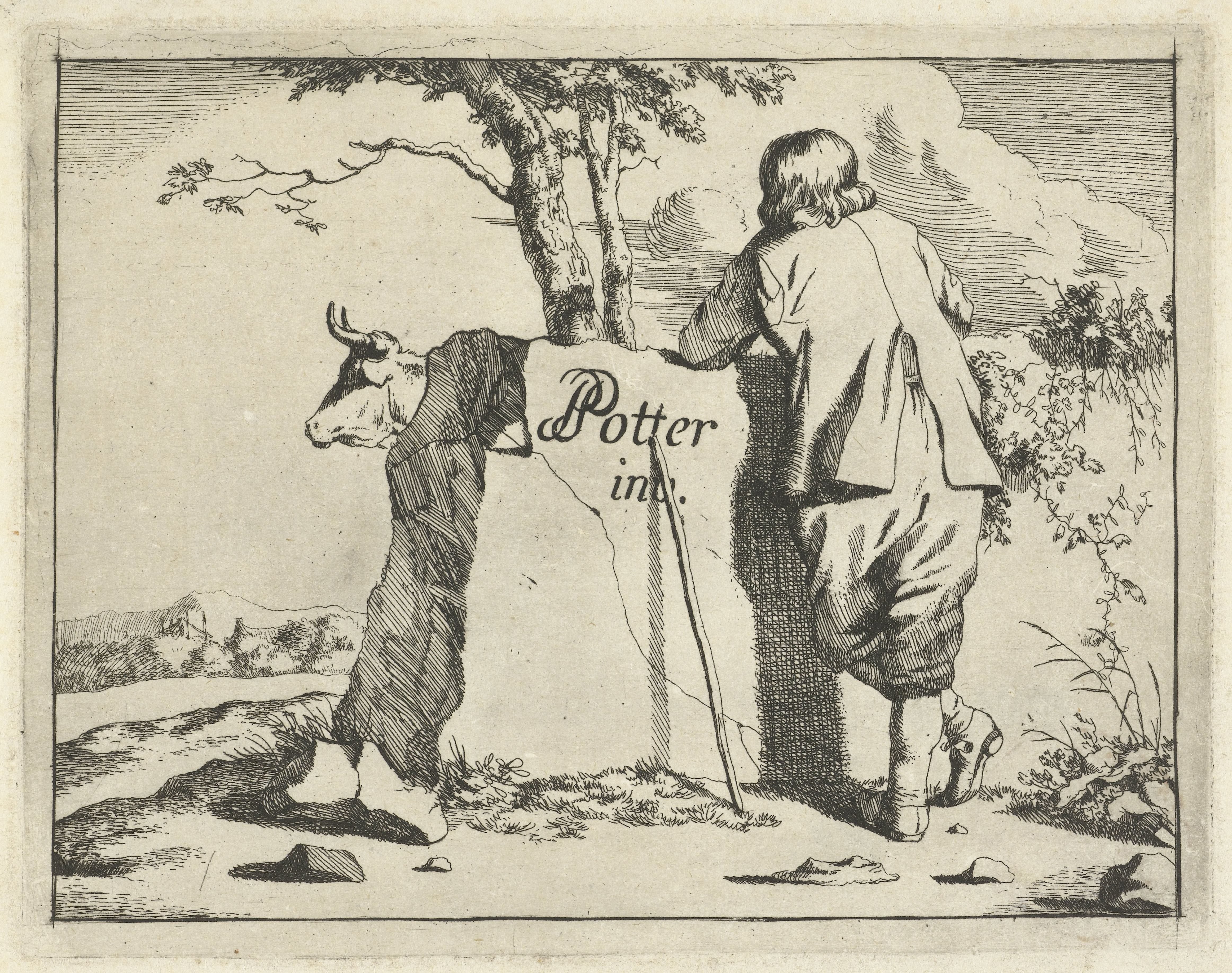 Herder en rund