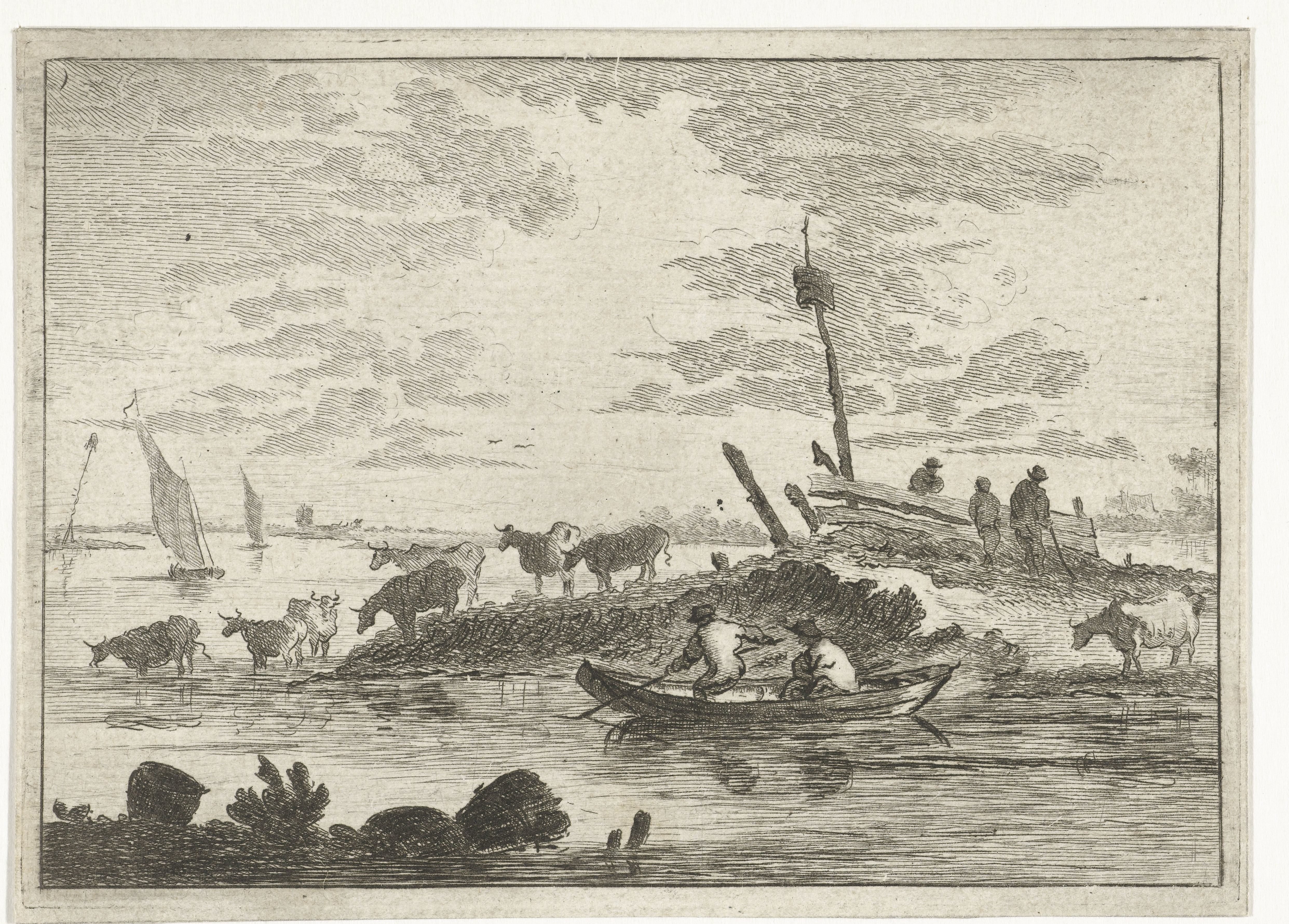 Koeien aan het water