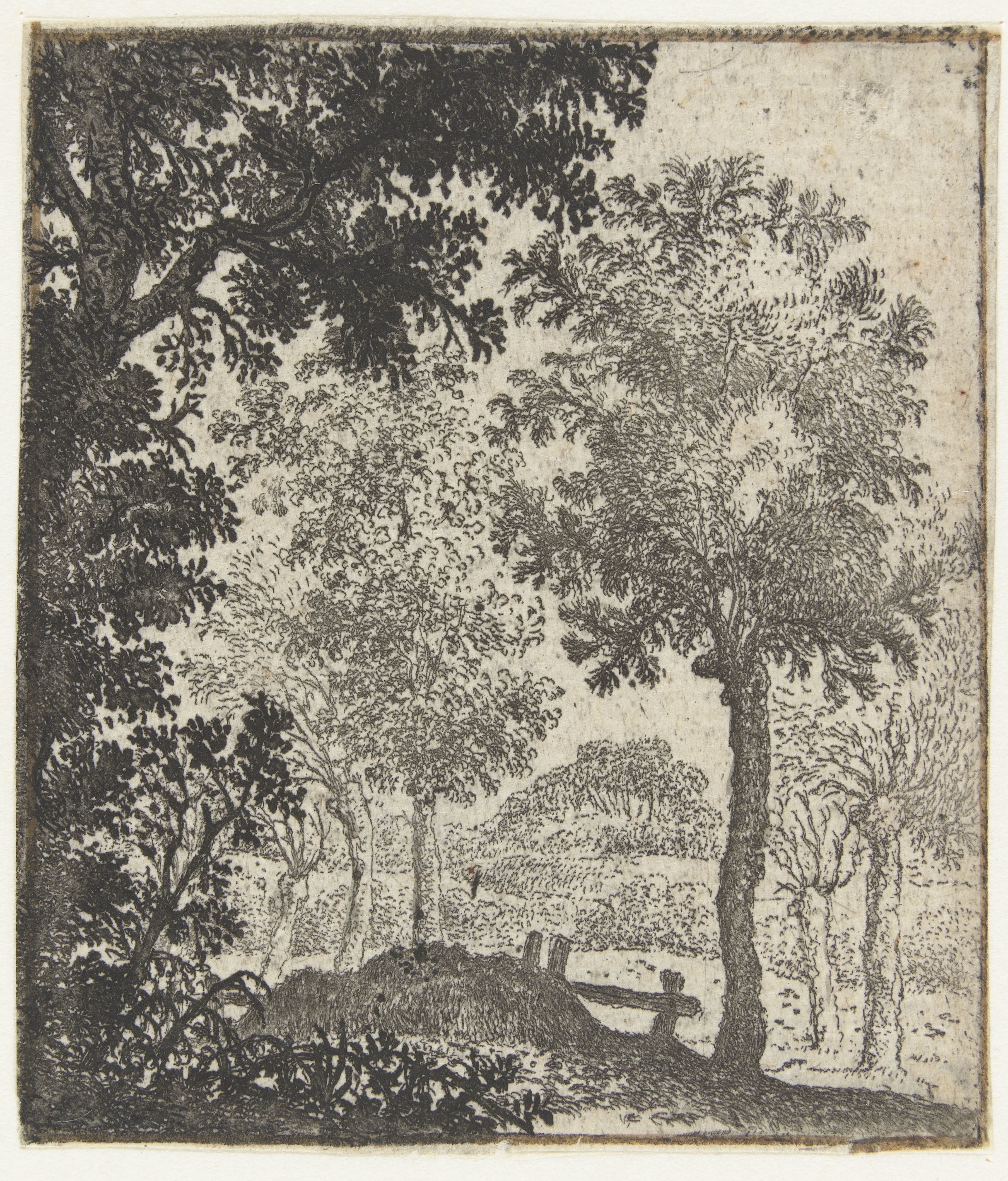 Landschap met grote boom op voorgrond
