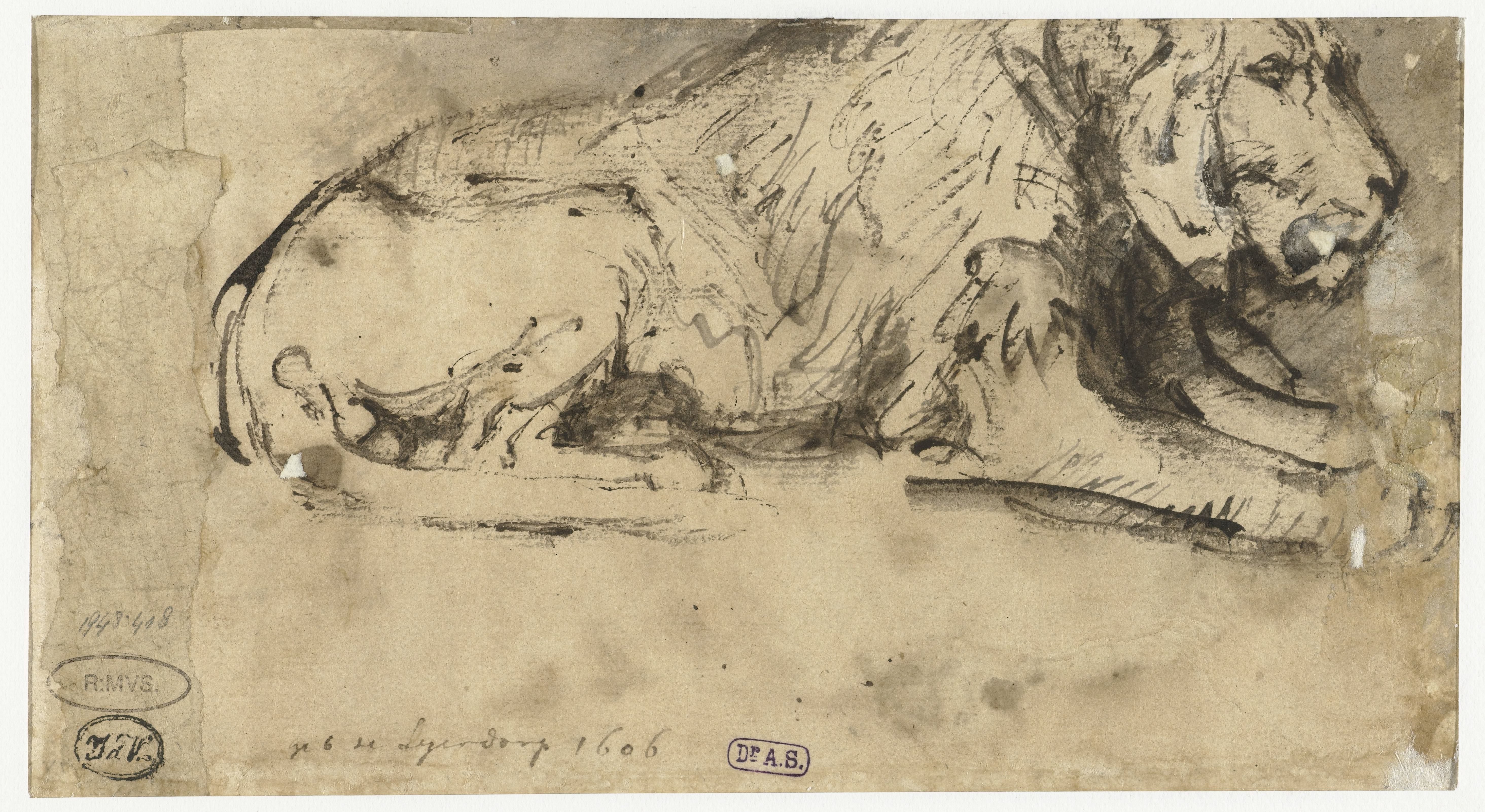 Reclining Lion