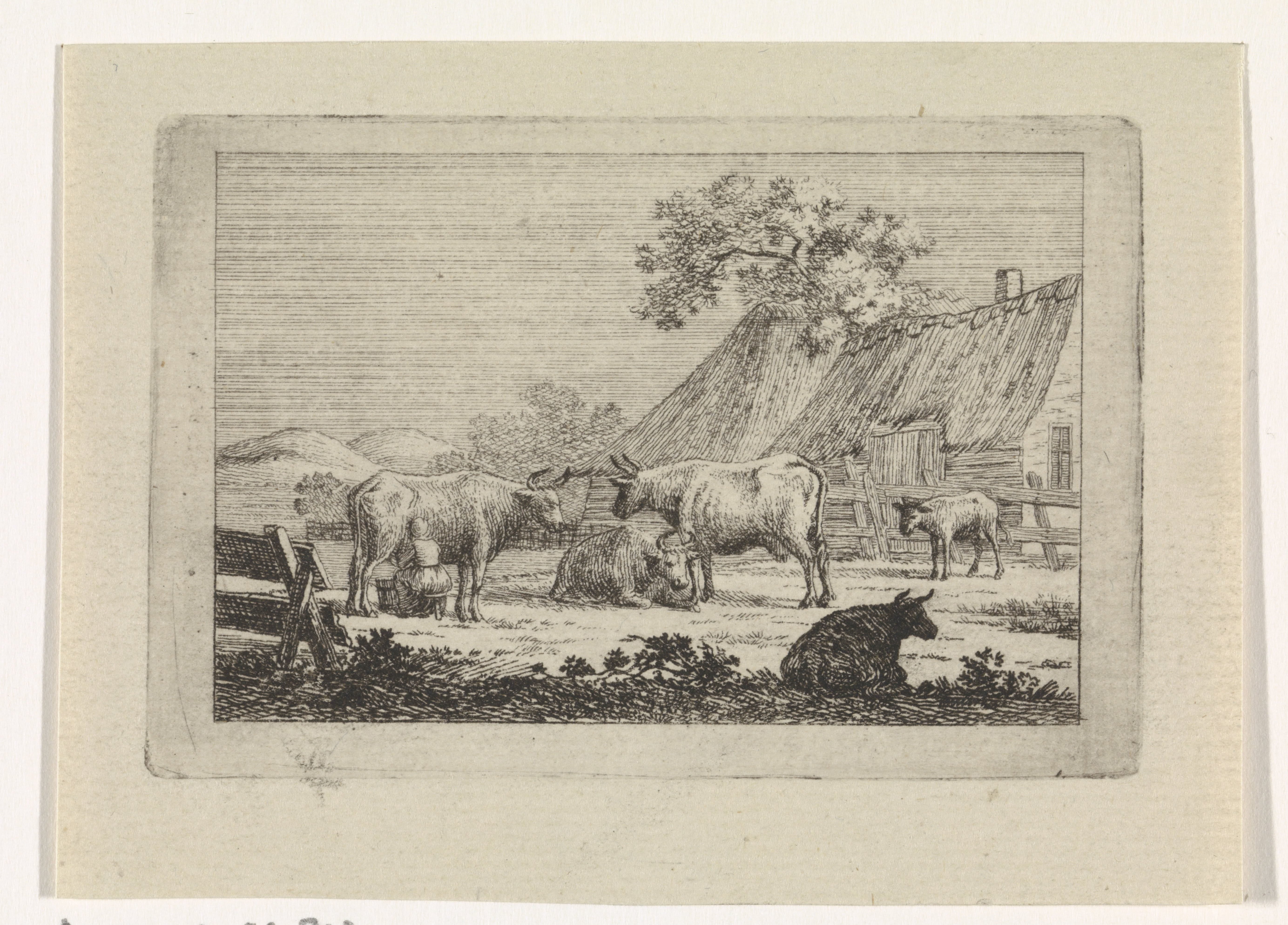 Pieter de Goeje