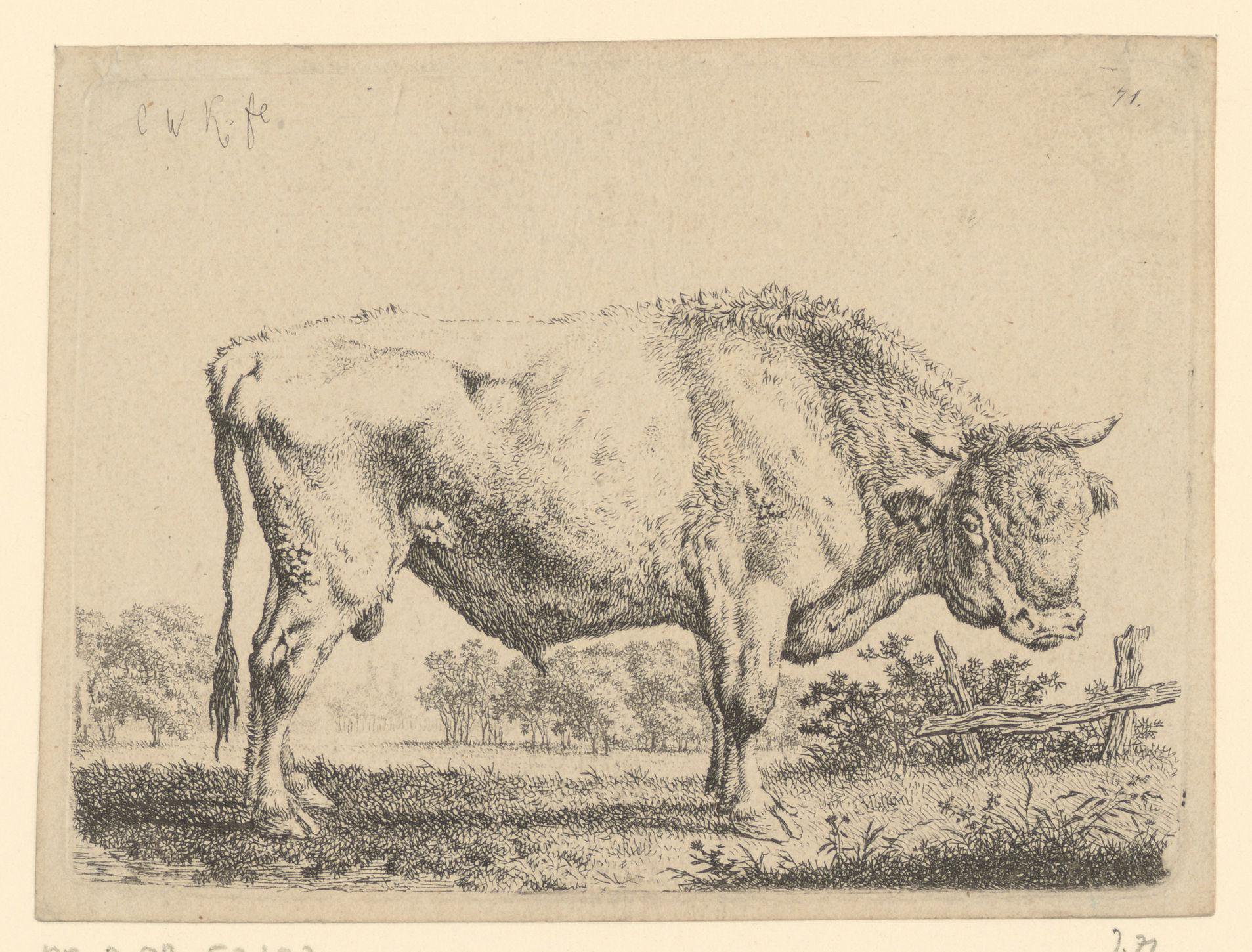 Landschap met staande stier