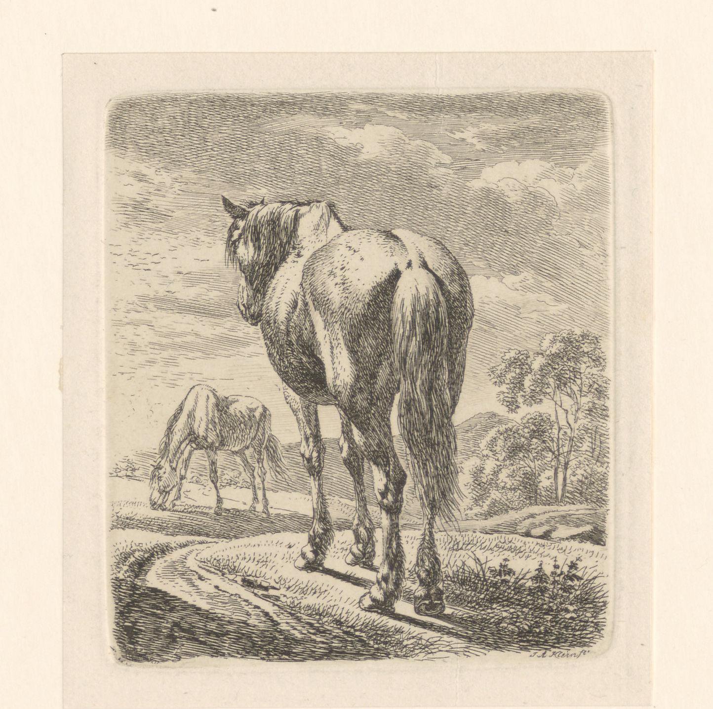 Twee paarden