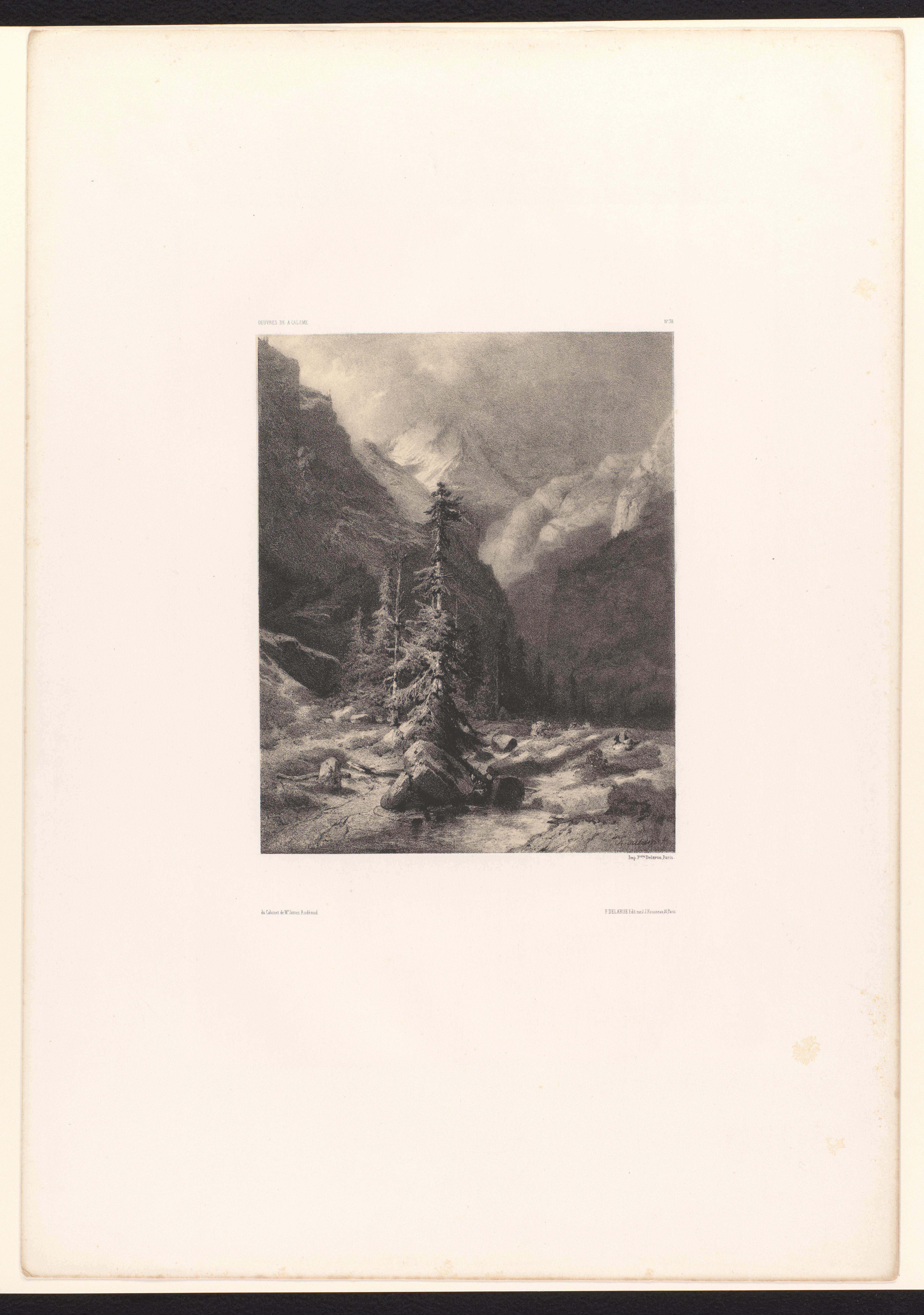 Berglandschap met naaldbomen en beek