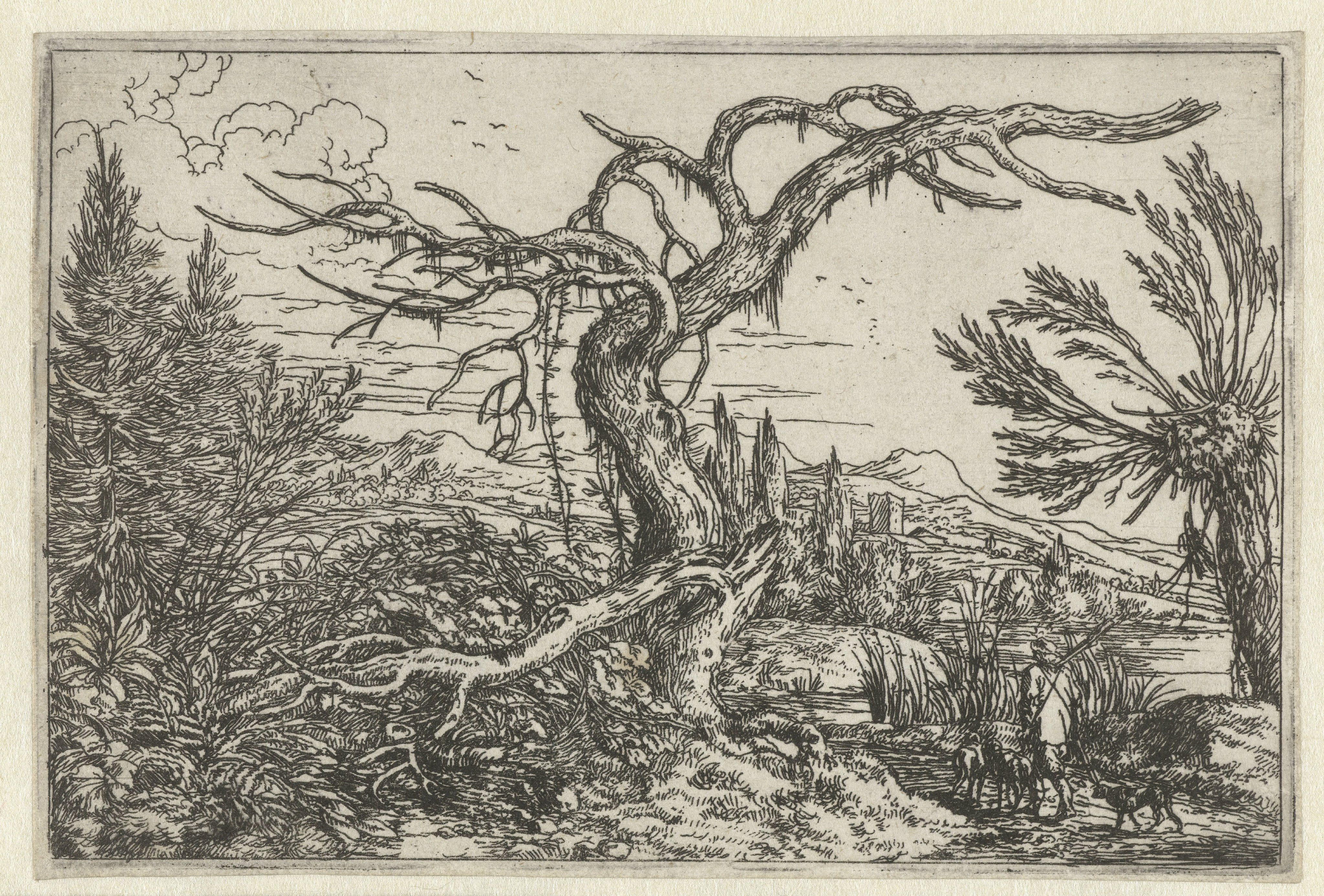 Landschap met de dorre boom