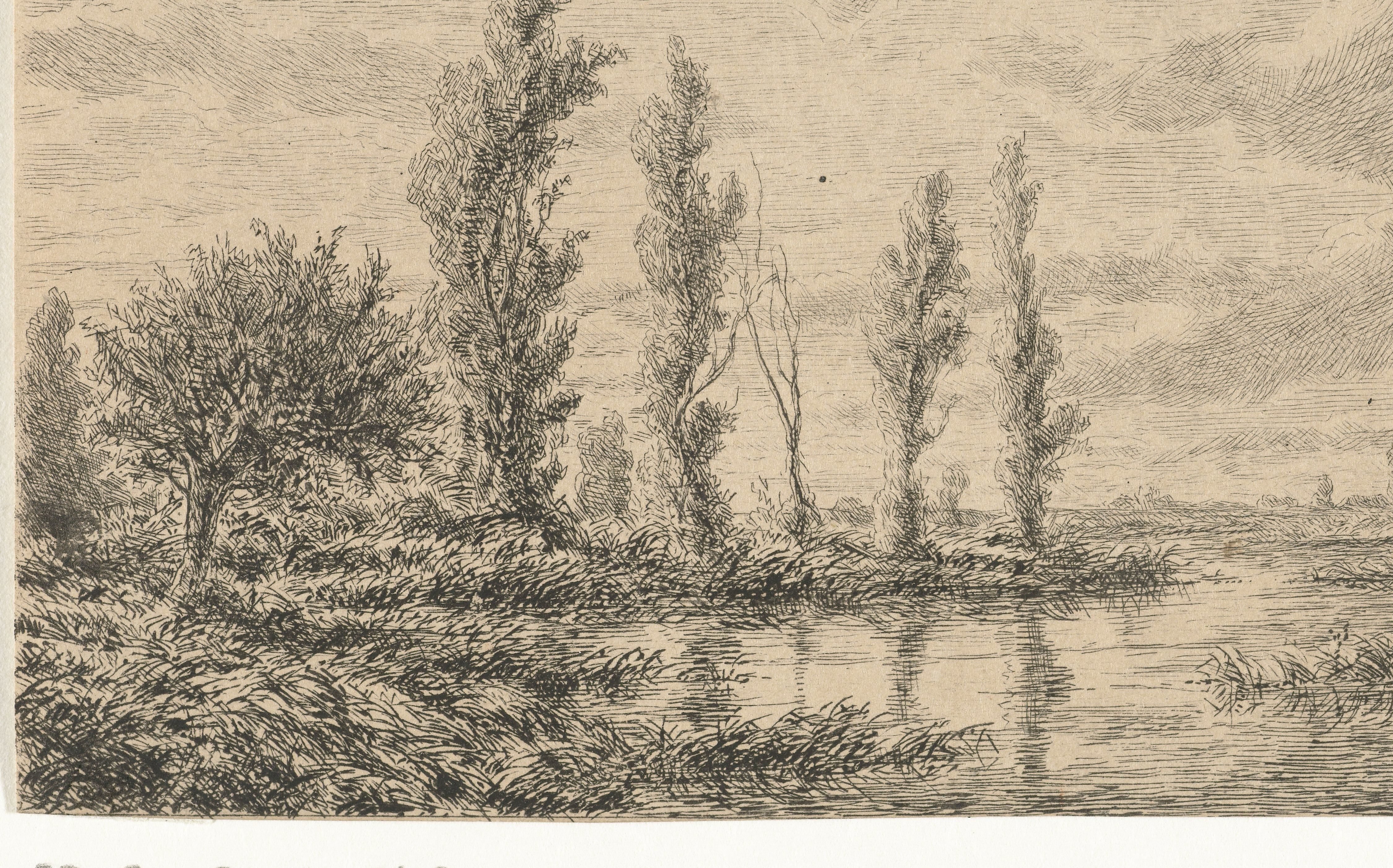 Rivierlandschap