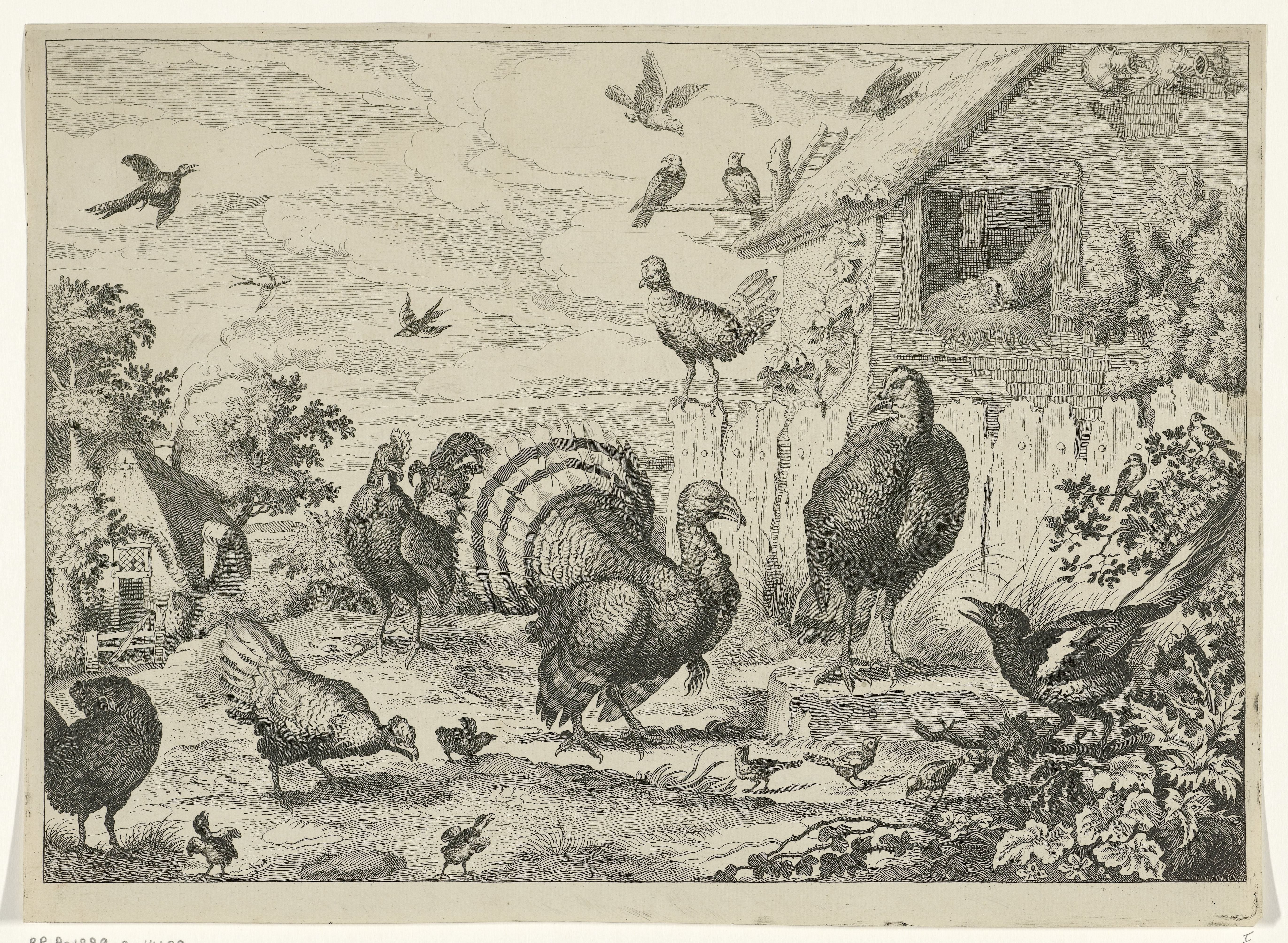 Verschillend gevogelte en een kalkoen