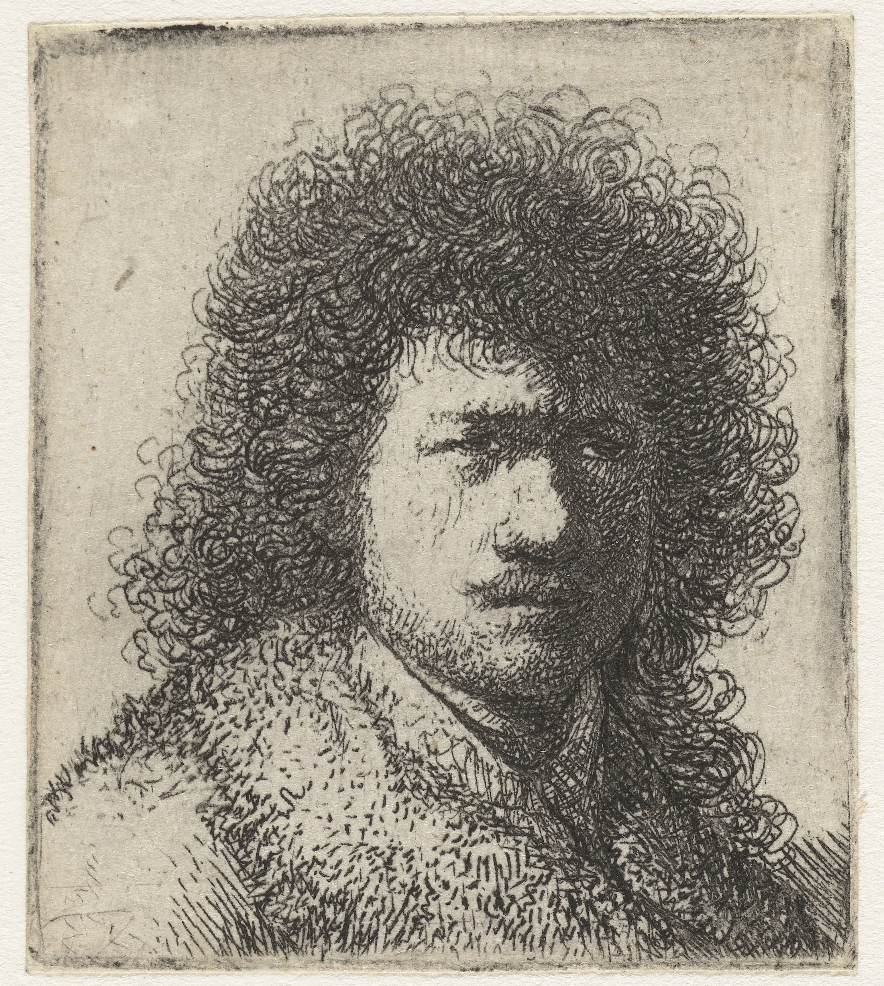 Self-portrait with bushy hair: bust