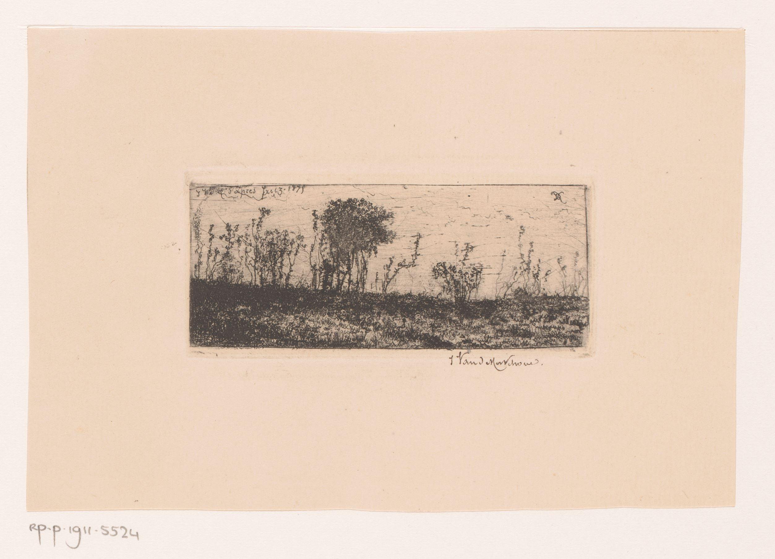 Boomrijk landschap