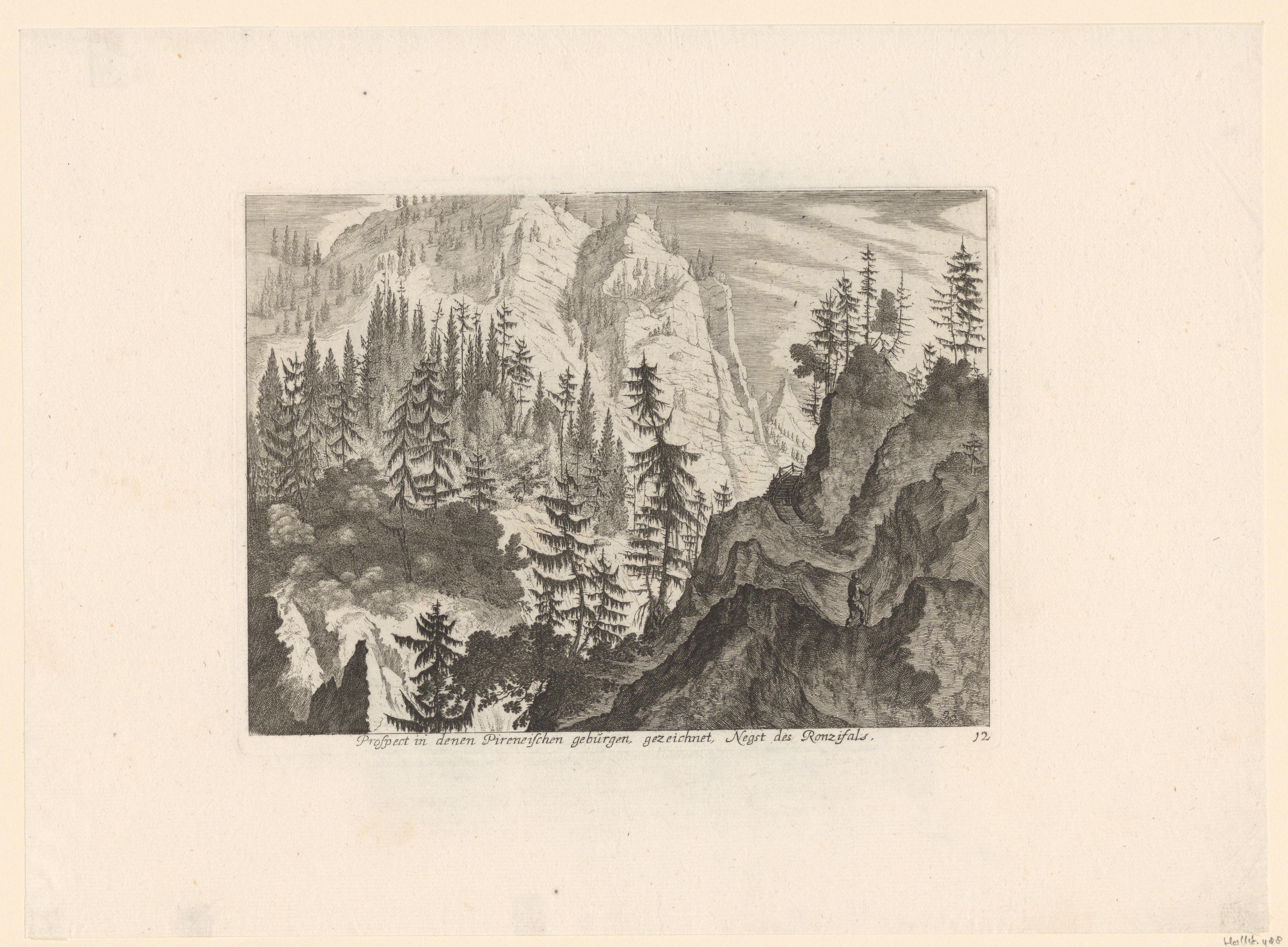 Rotsachtig landschap met naaldbomen