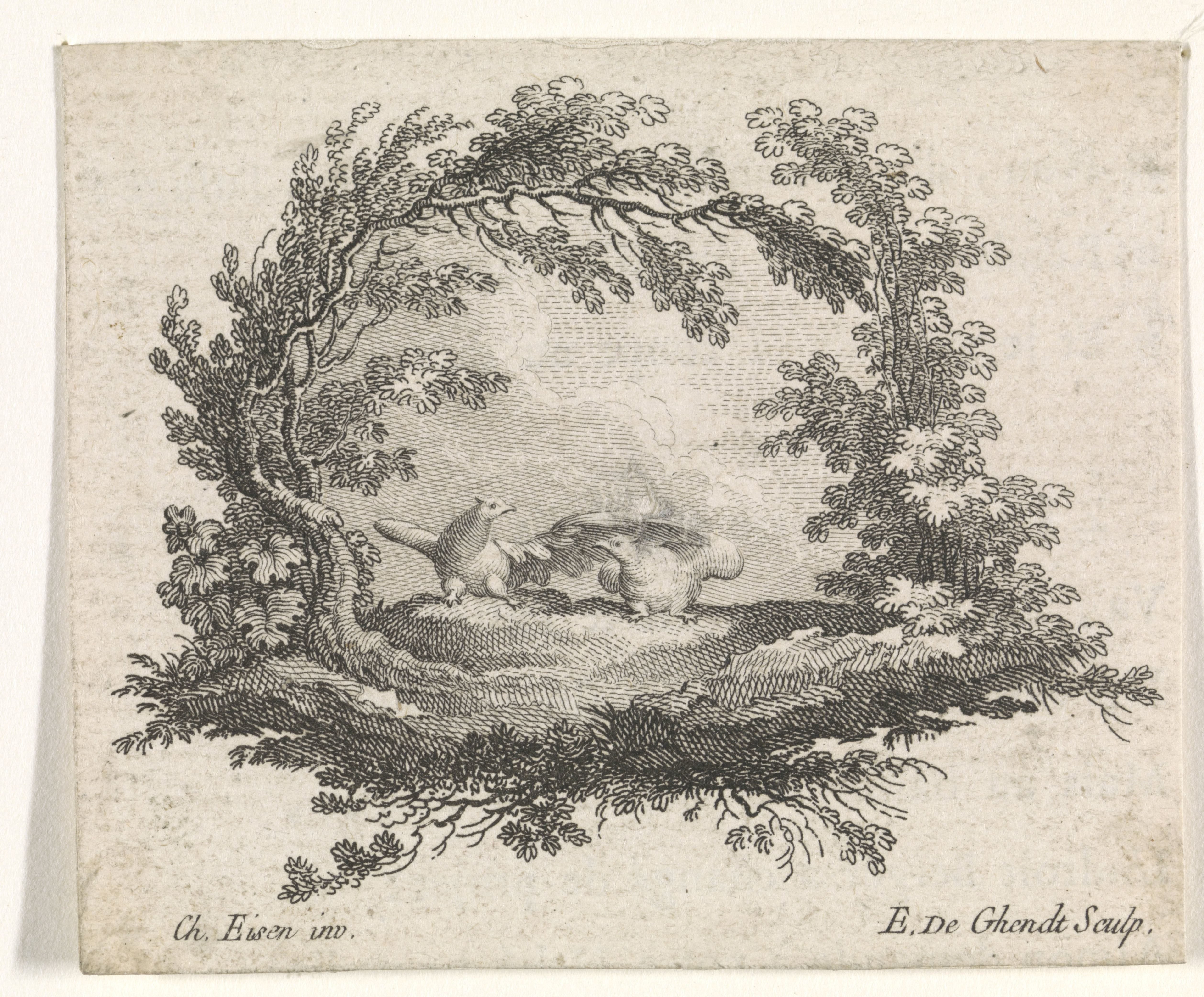 Twee tortelduiven