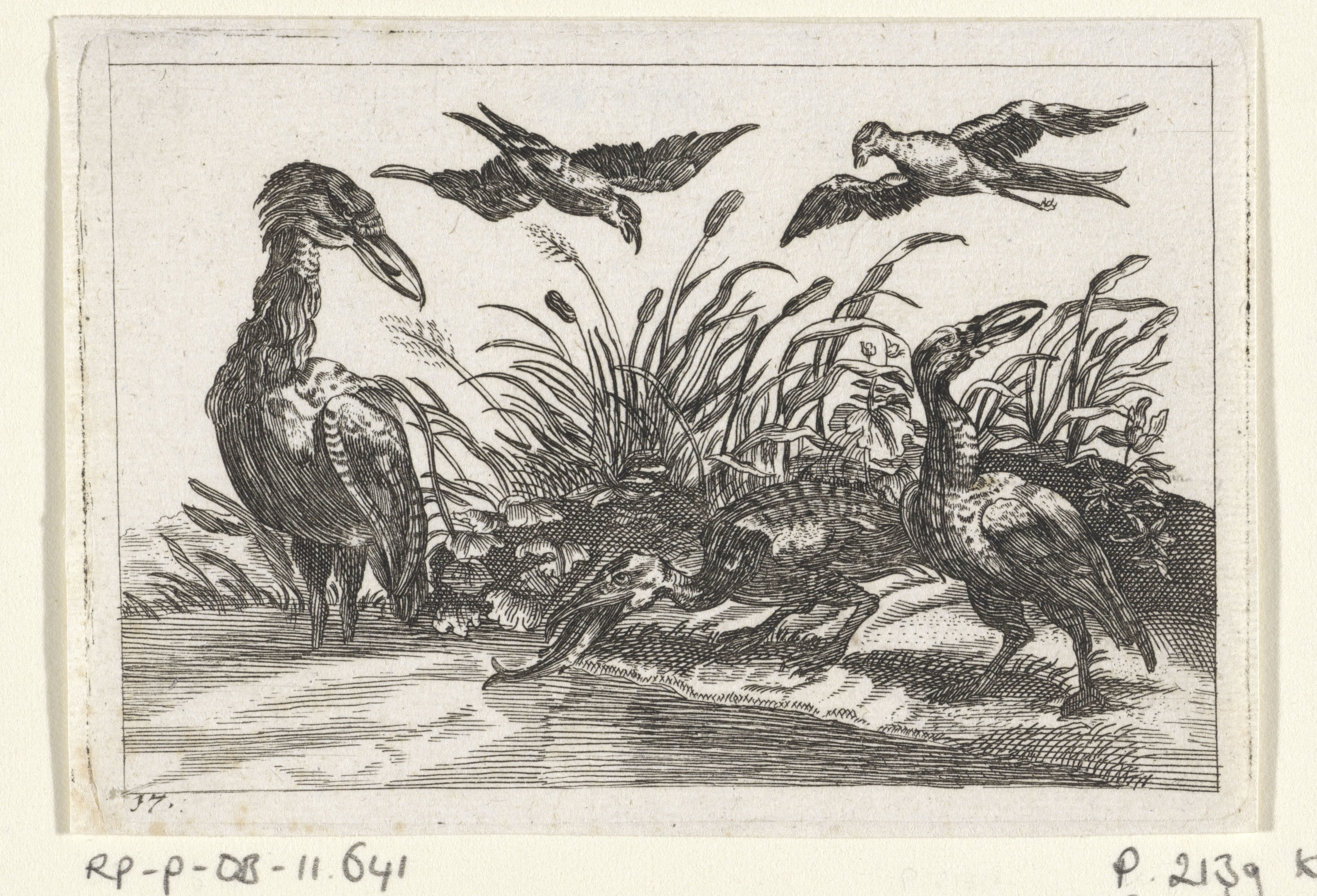 Reigers en zwaluwen