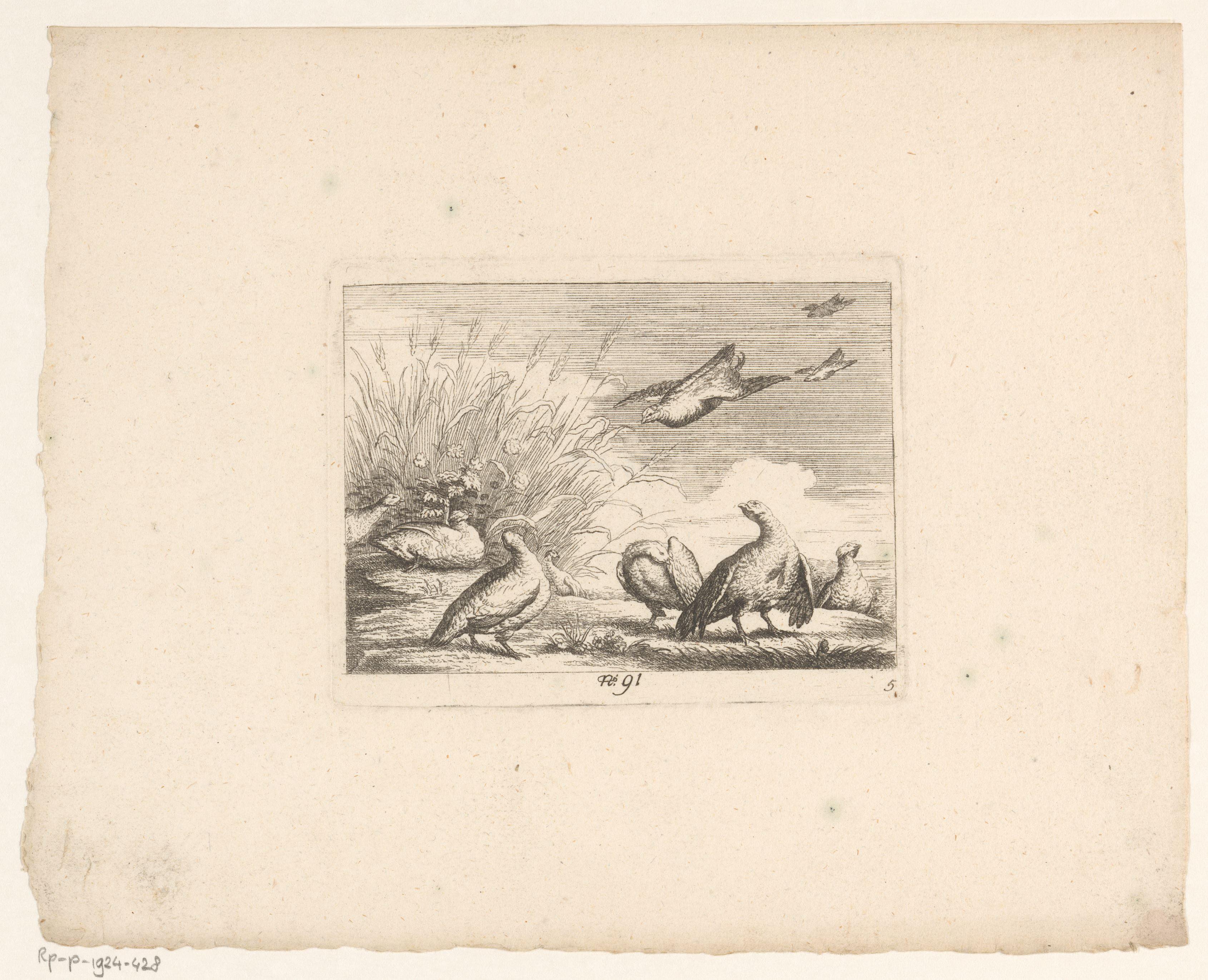 Landschap met tien patrijzen