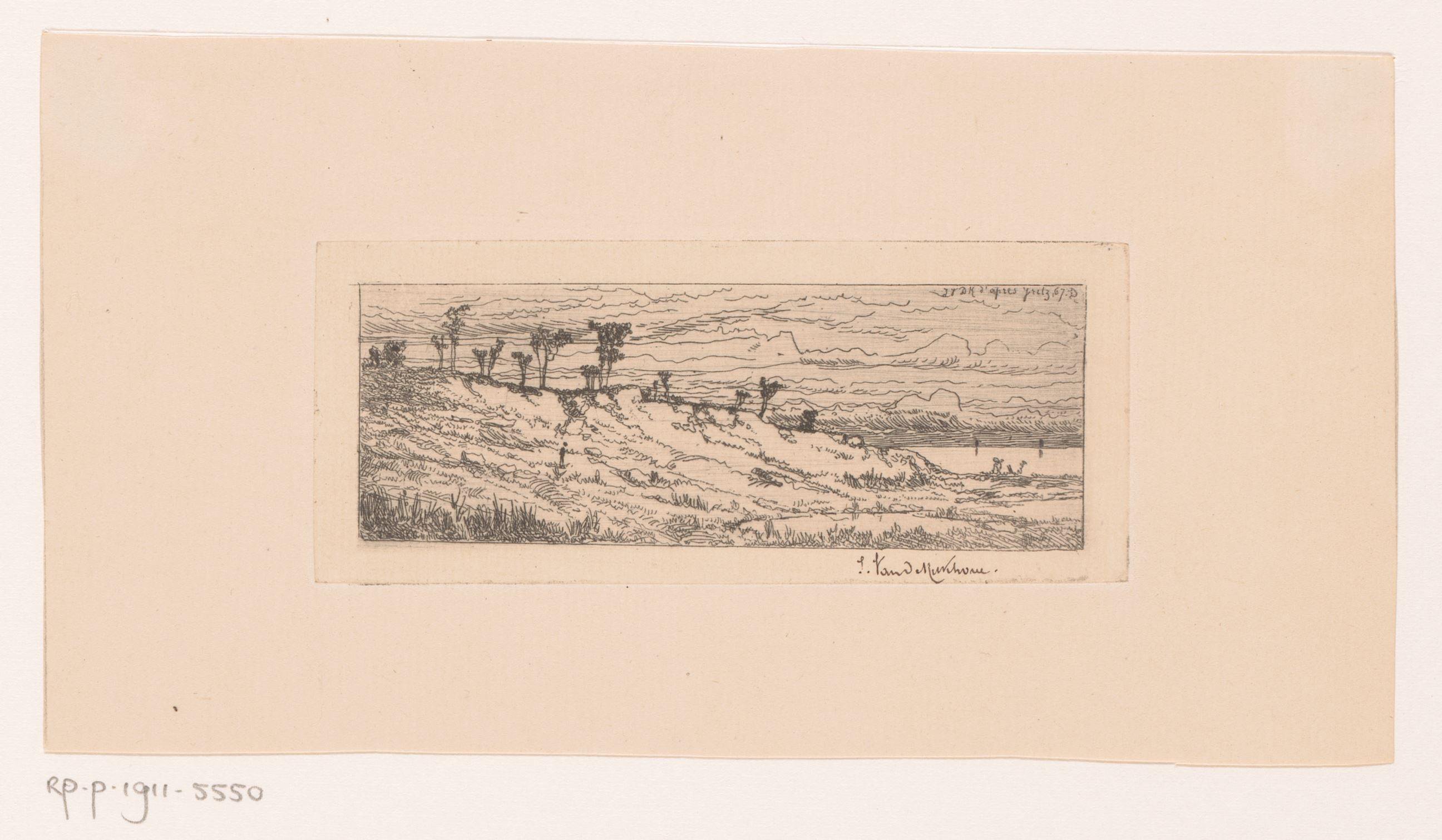 Heuvelachtig landschap met bomenrij