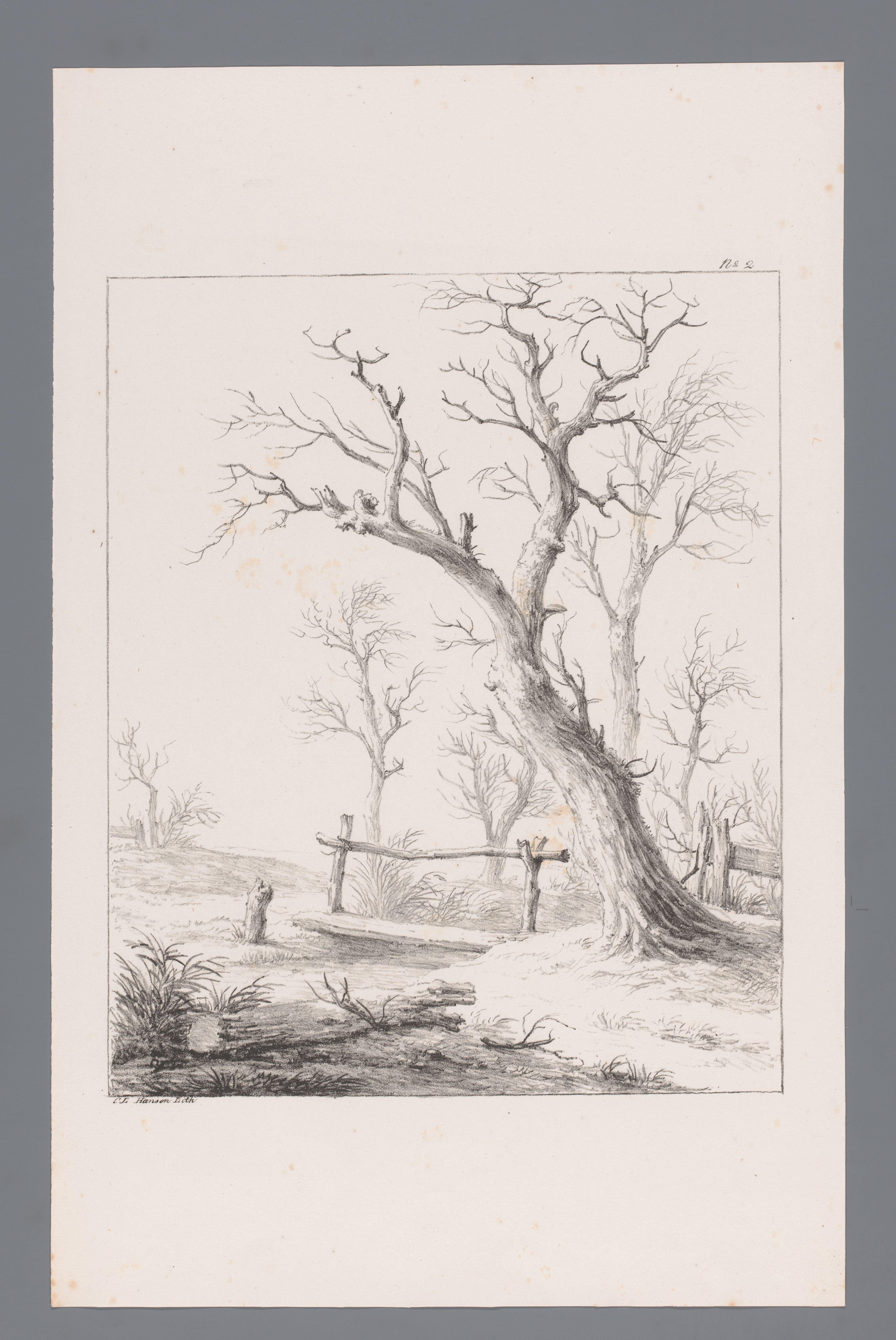 Landschap met bomen en brug