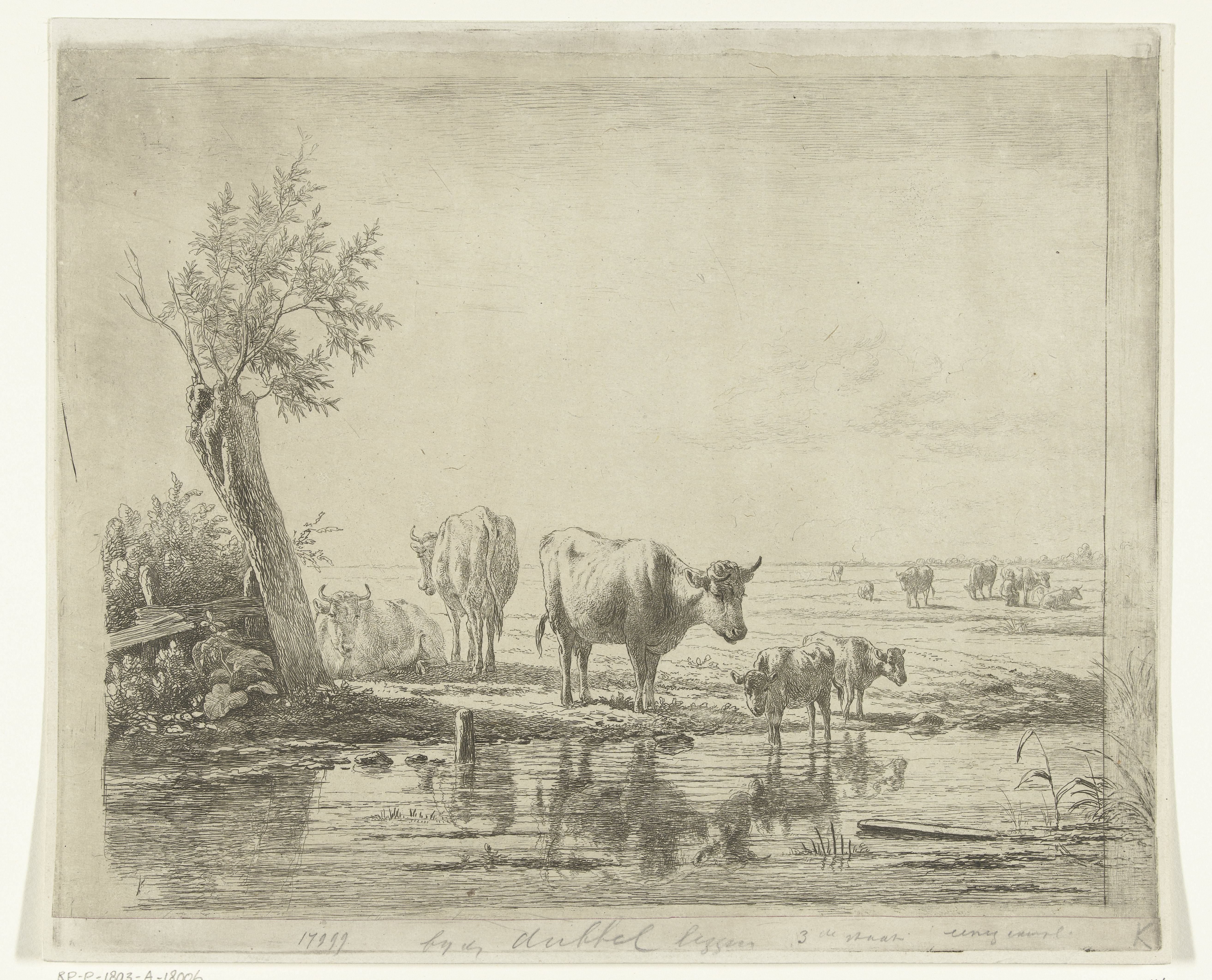 Weidelandschap met koeien bij water