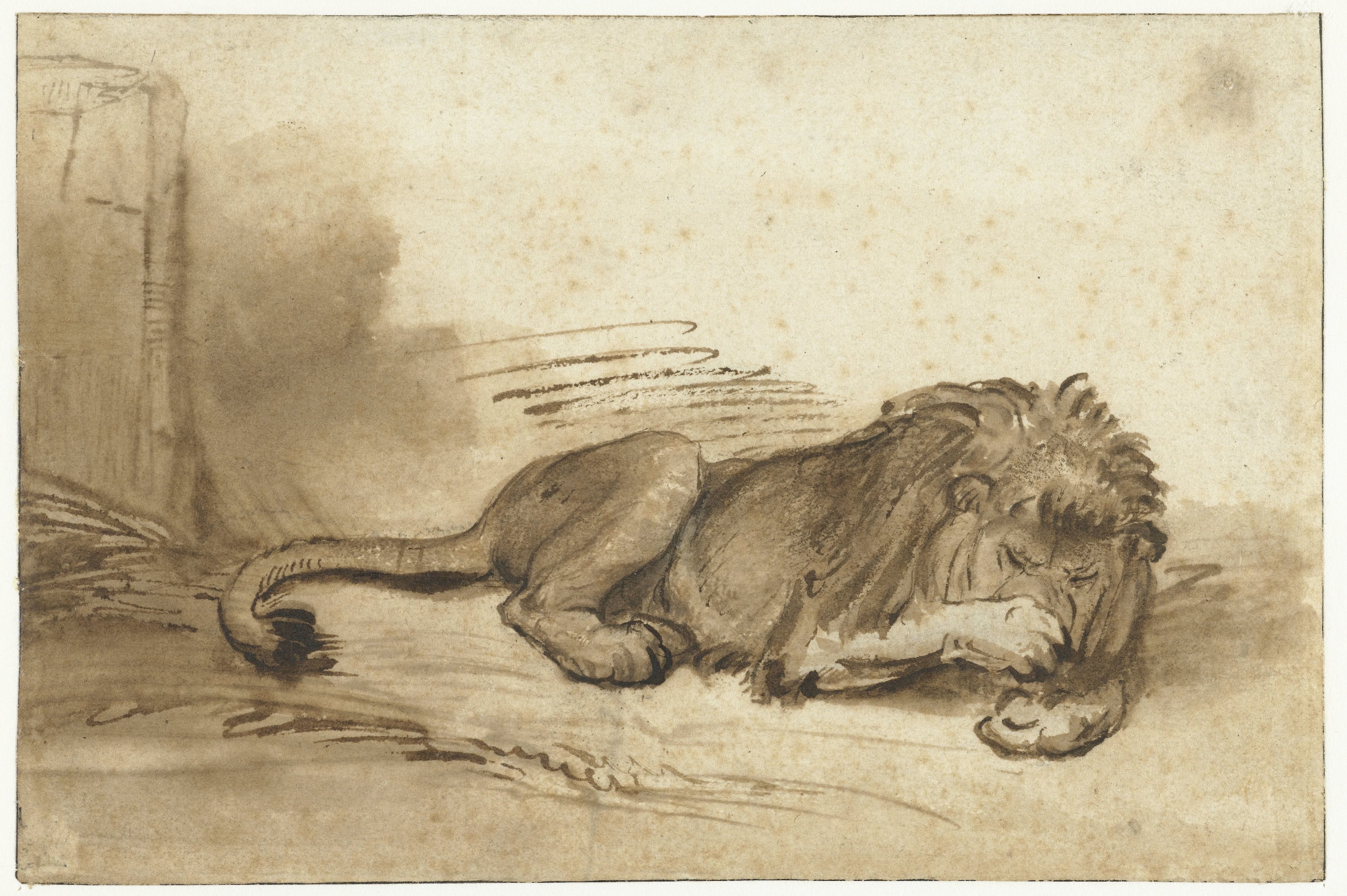 Reclining Lion with its Forepaw over its Muzzle