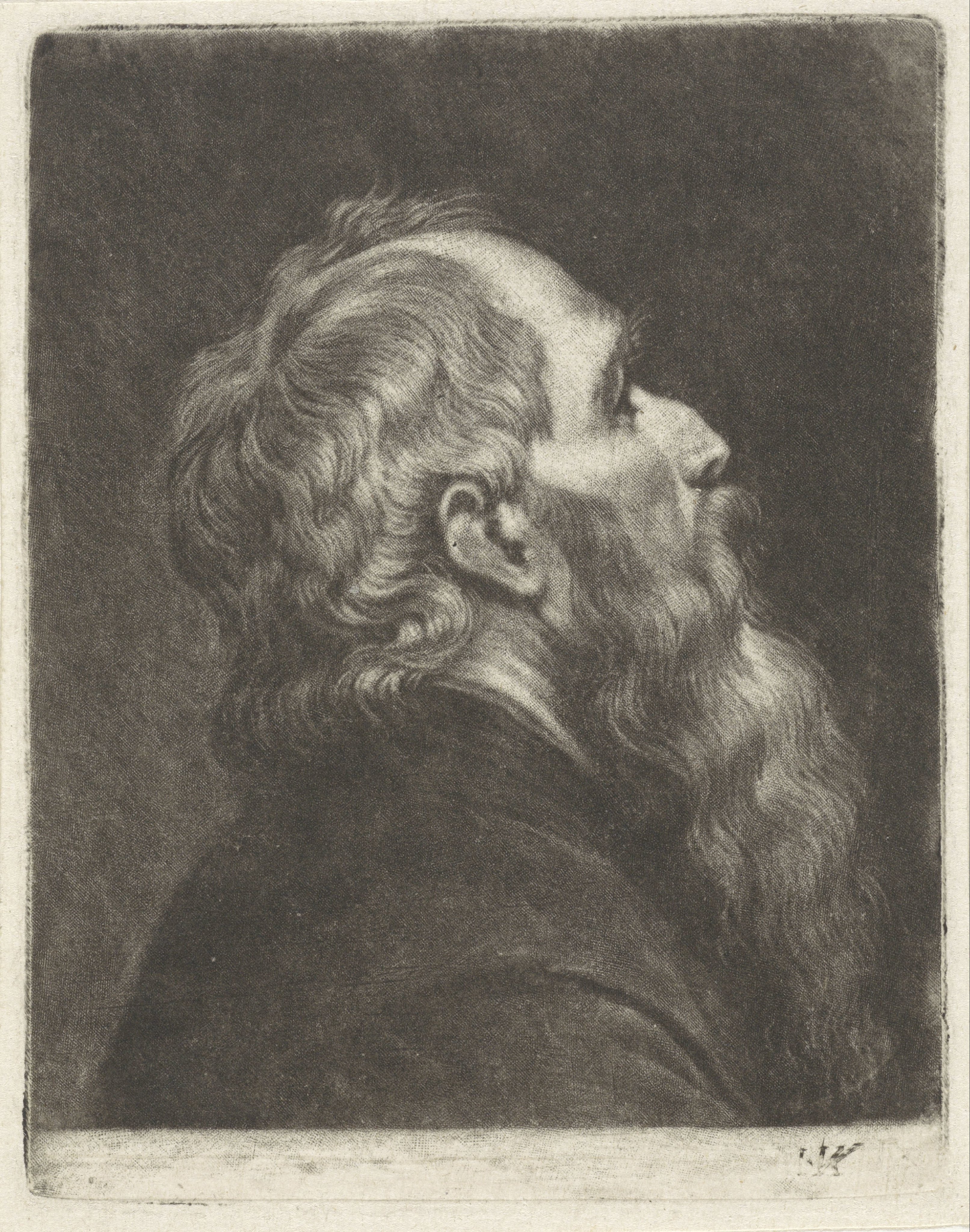Buste van een man met een baard, in profiel